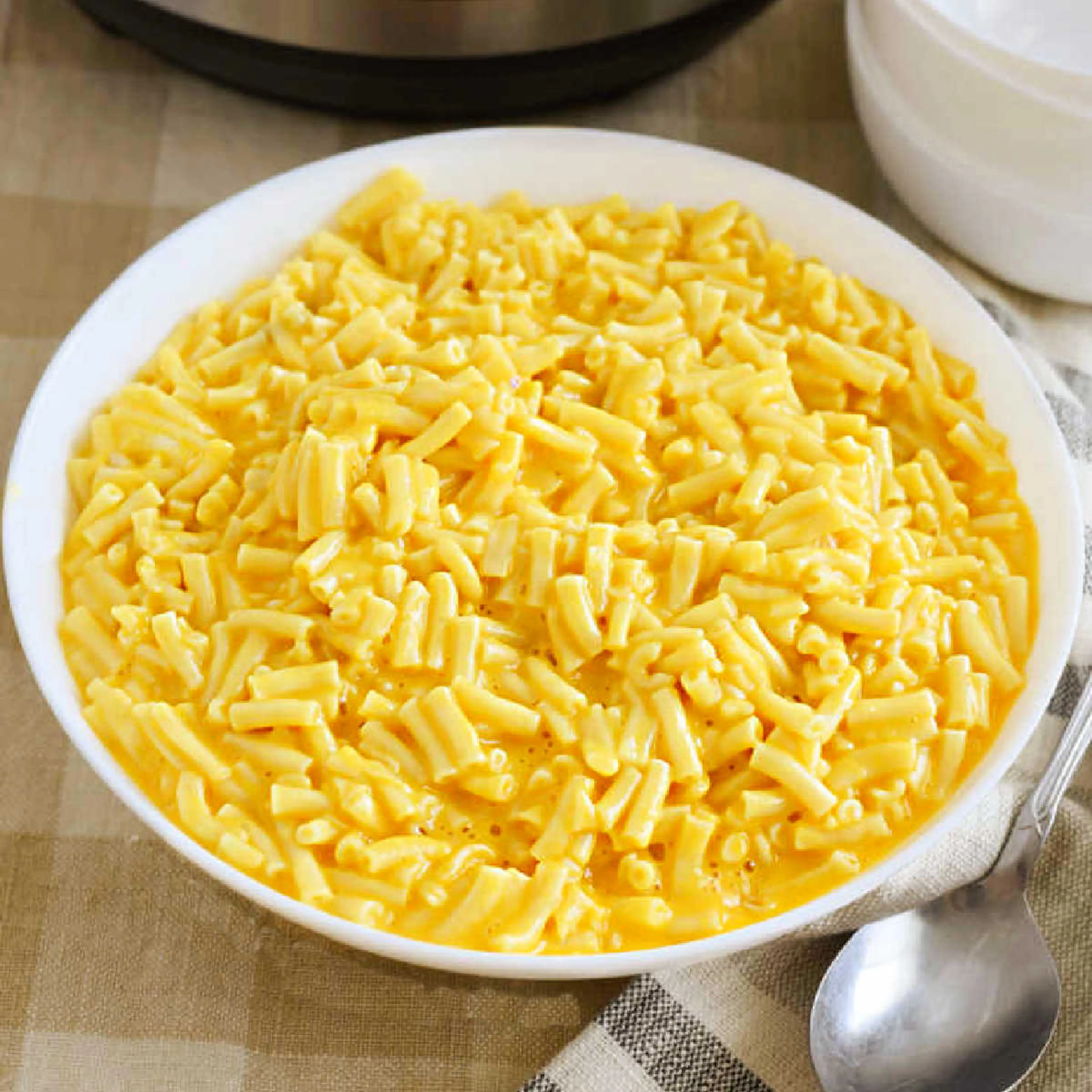 Instant Pot Kraft Mac and Cheese