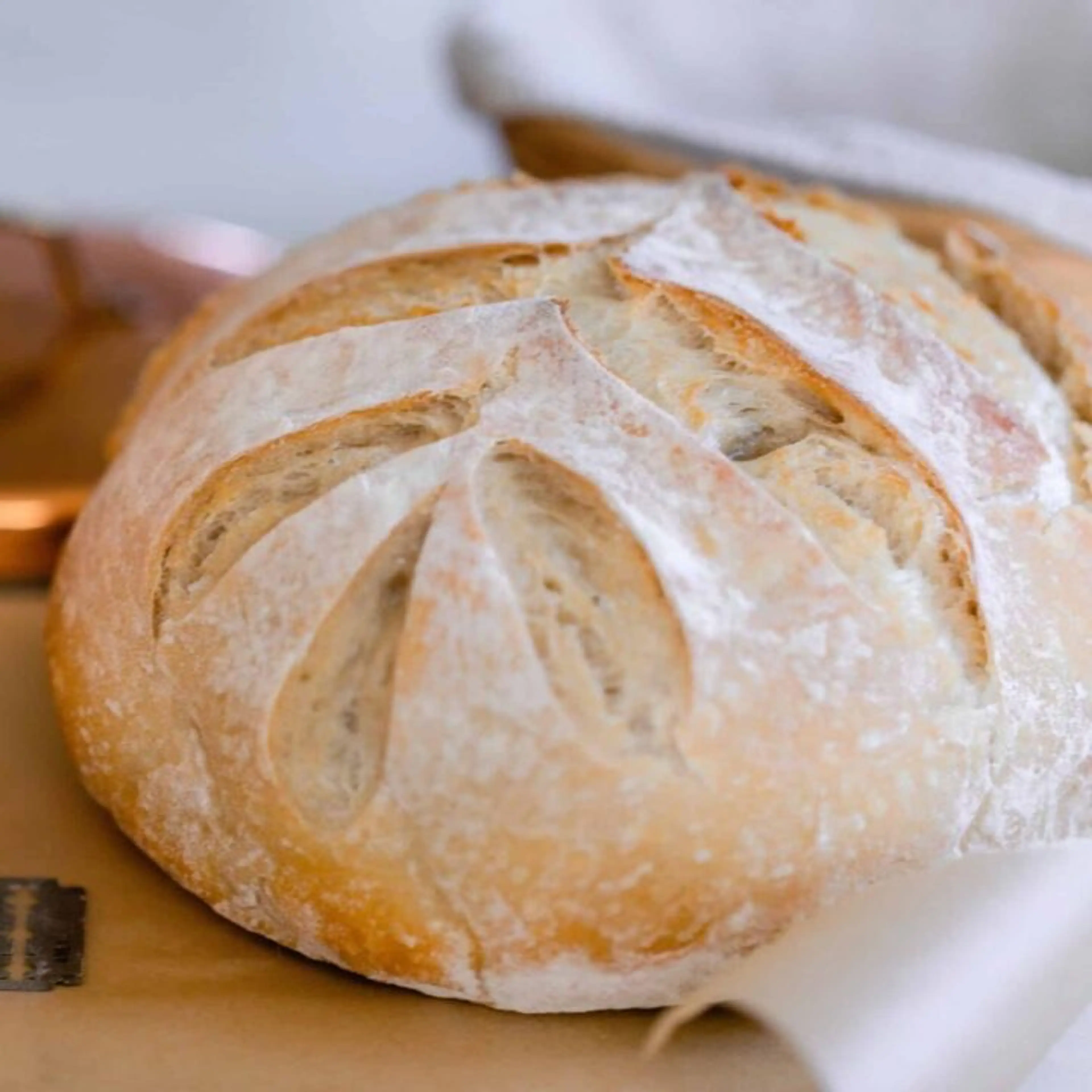 Beginners Sourdough Bread