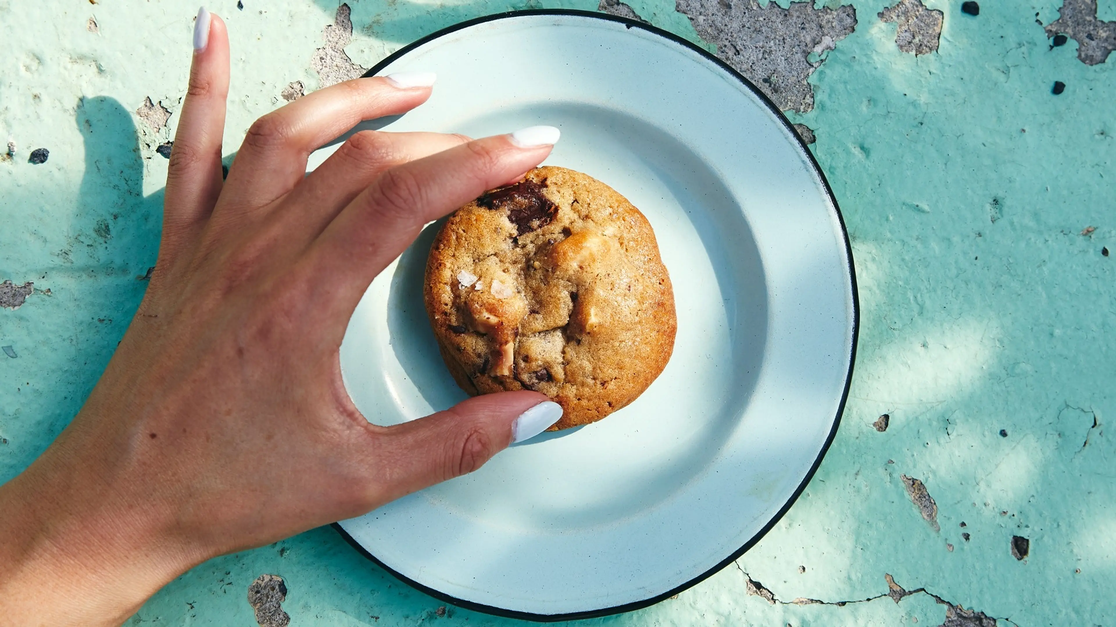 Chocolate-Hazelnut Cookies