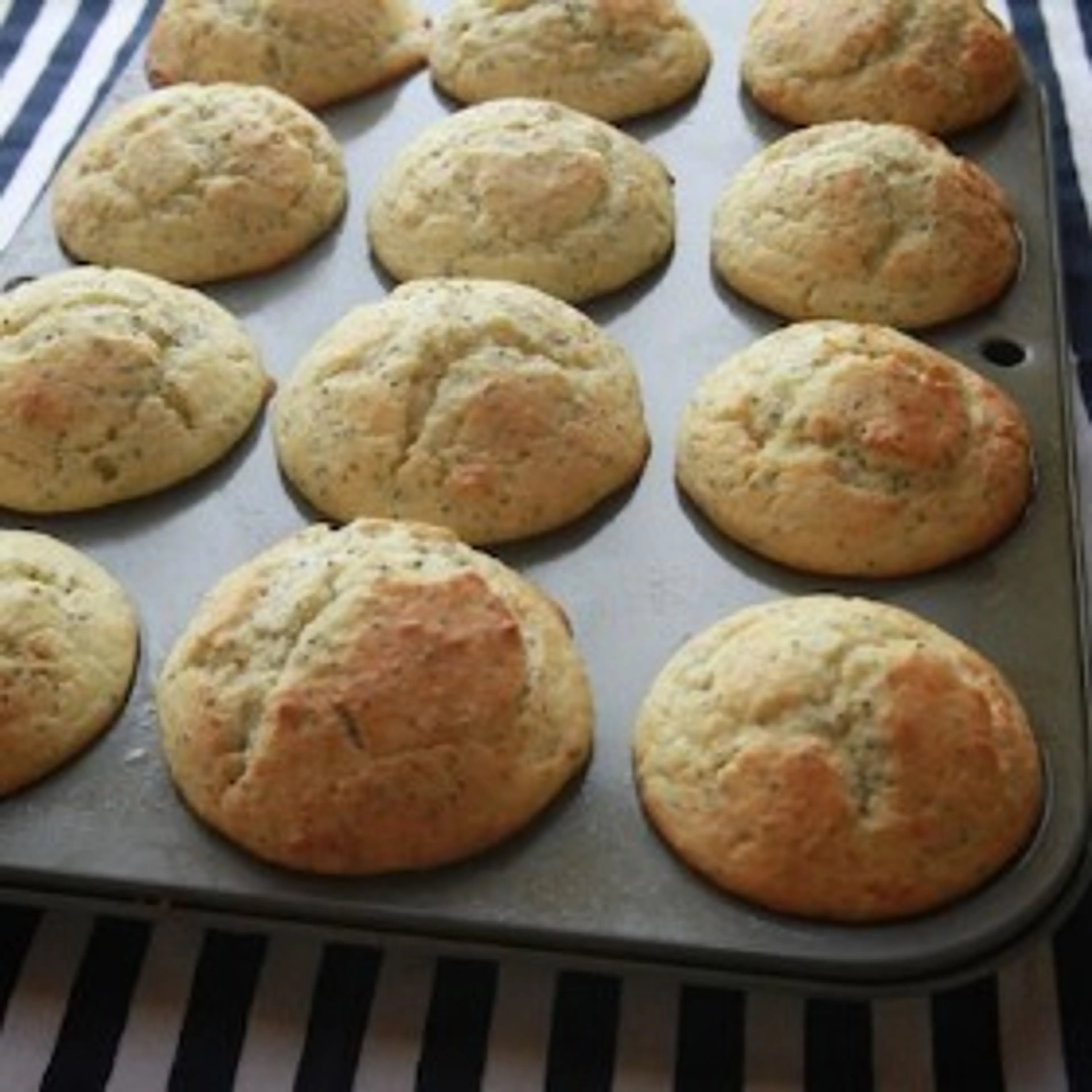 Lemon Poppy Seed Muffins