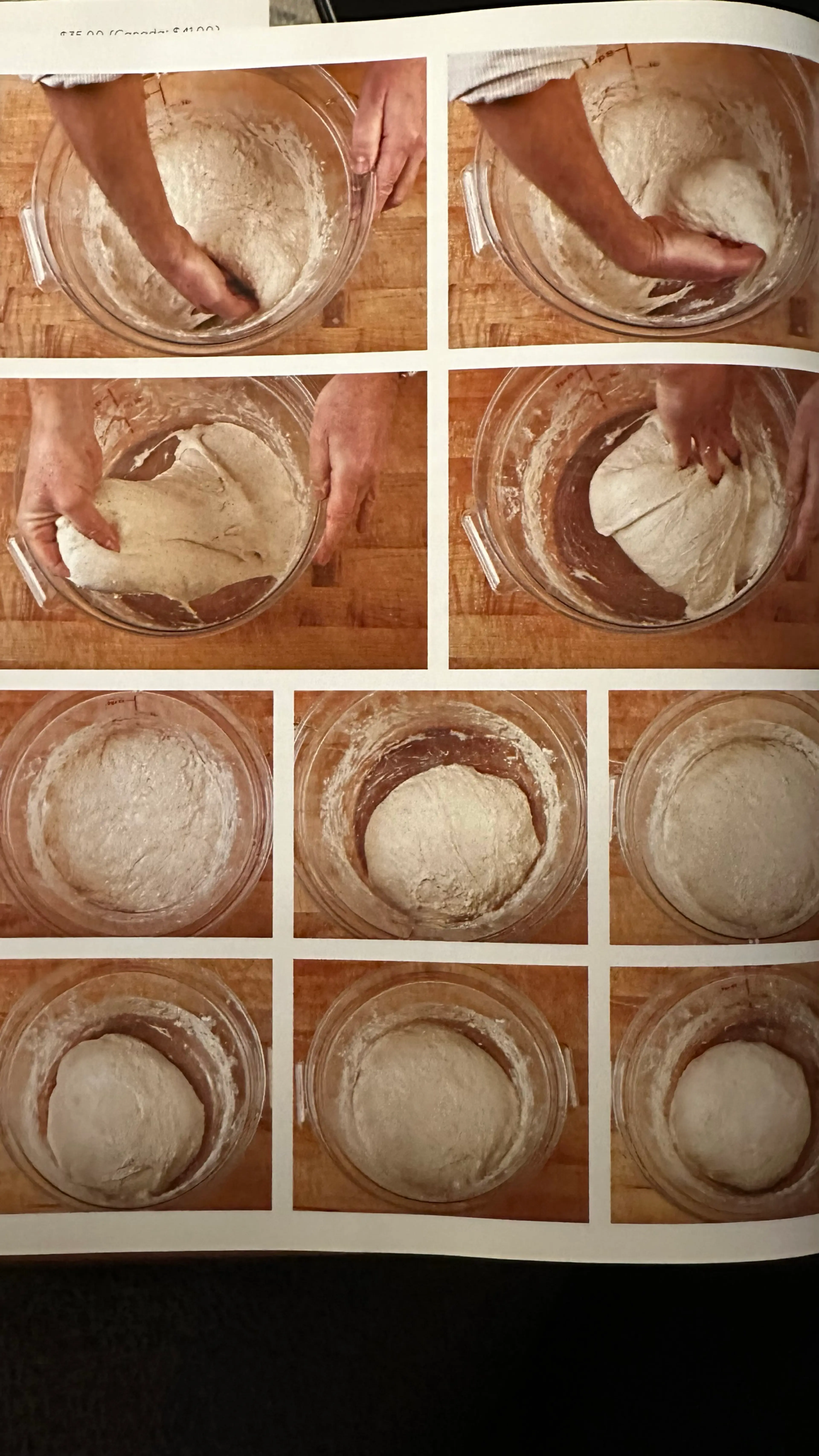 Same-Day Straight Pizza Dough