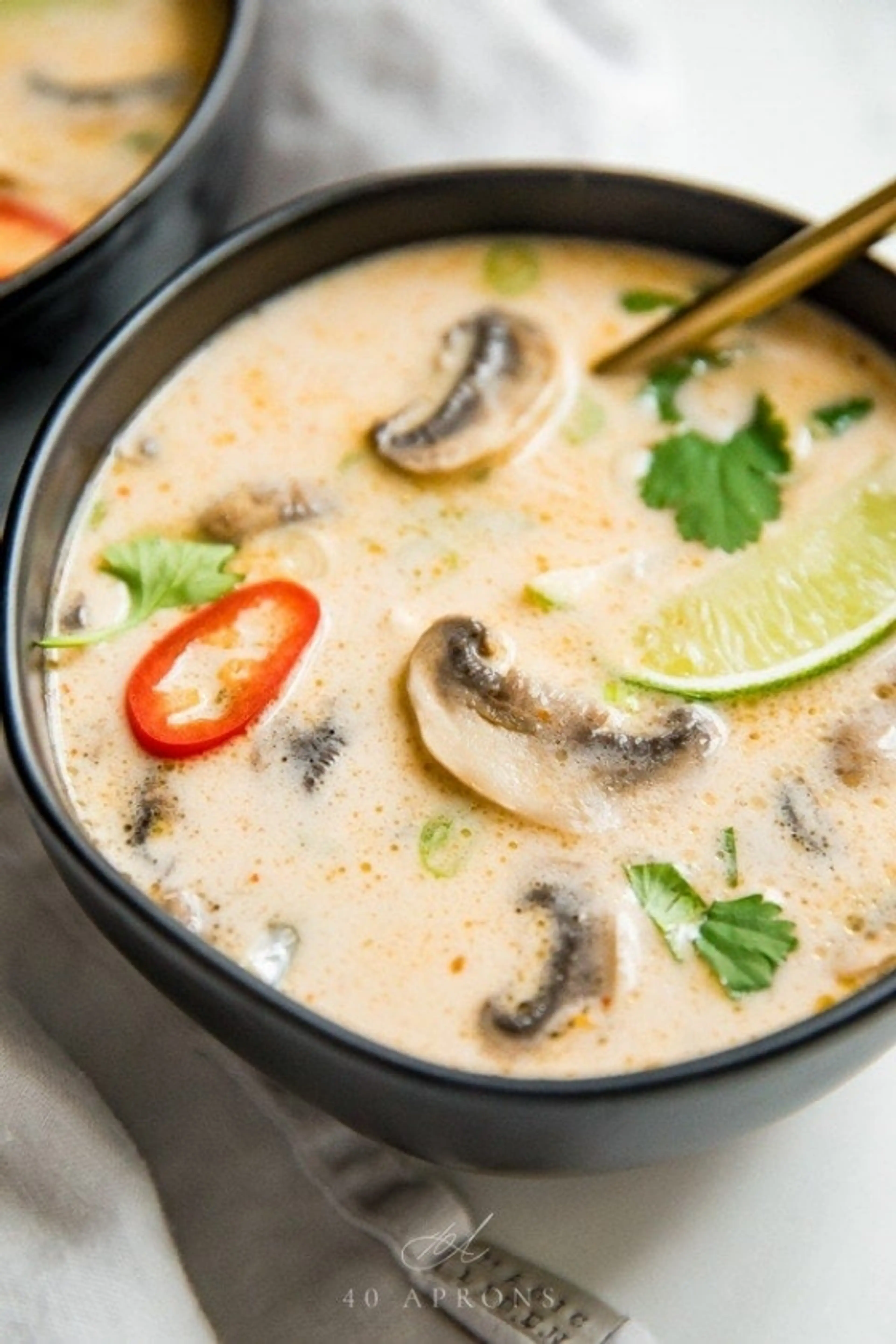 Best Ever Tom Kha Gai - Thai Coconut Soup