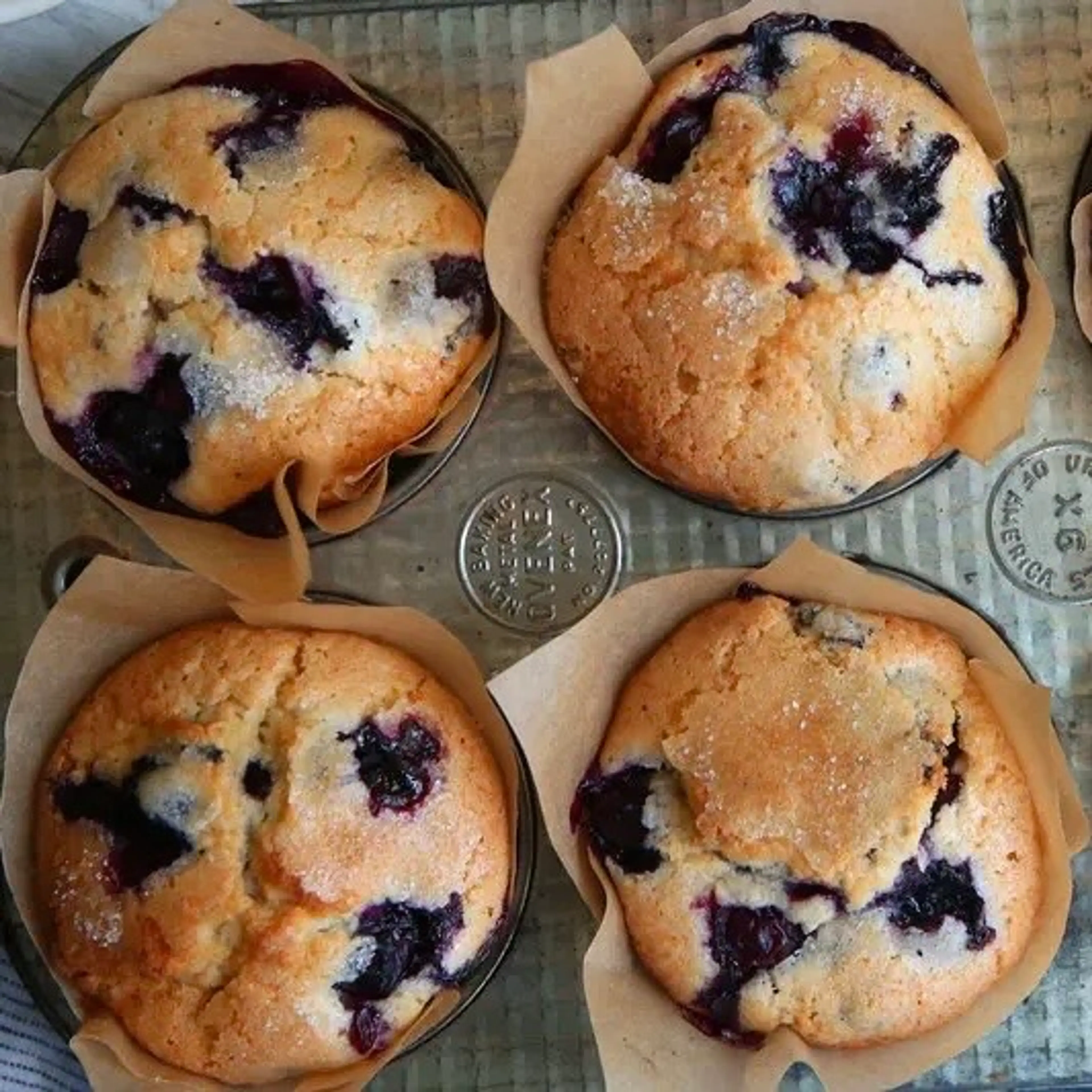 Blueberry Muffins