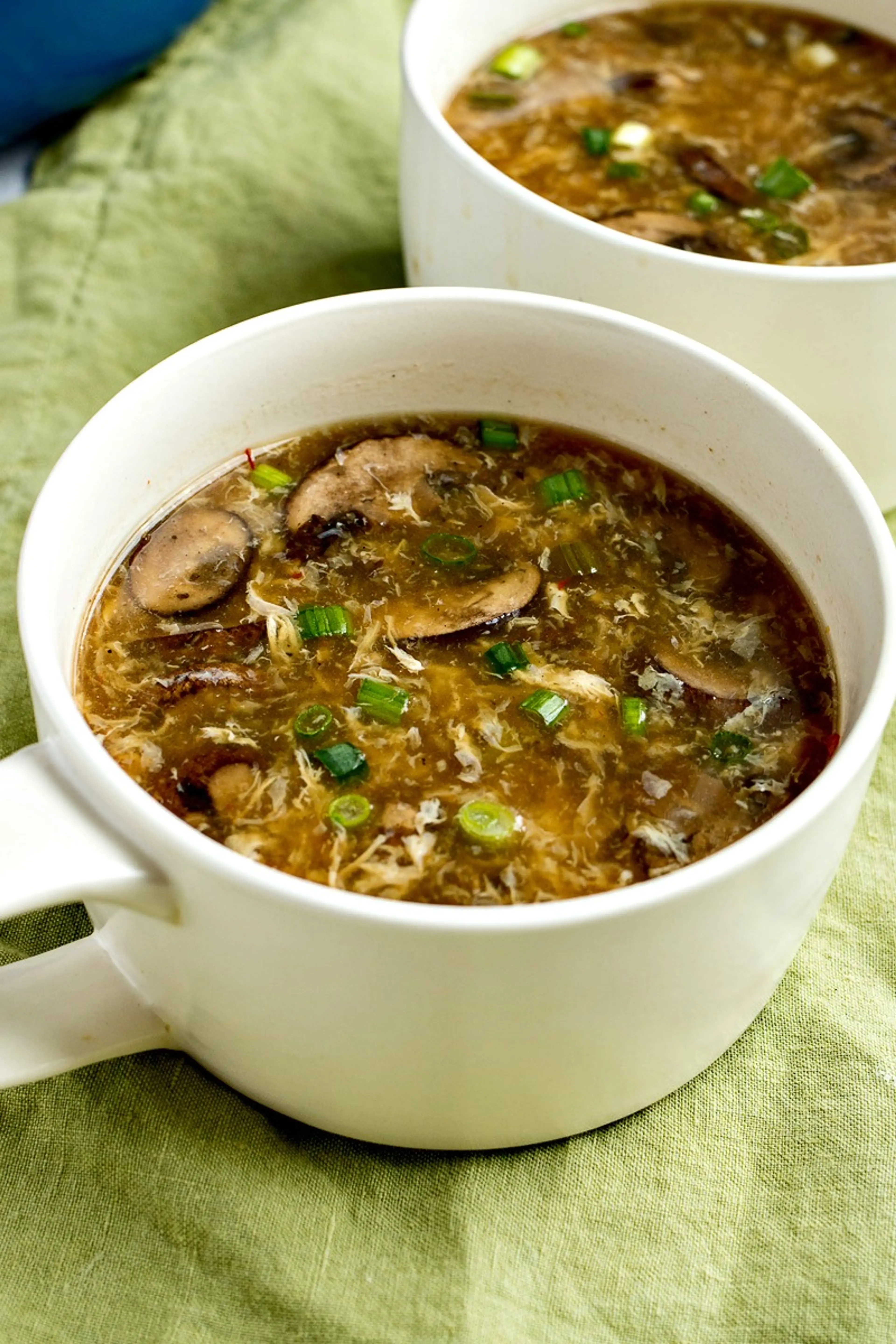 Chinese Hot & Sour Soup