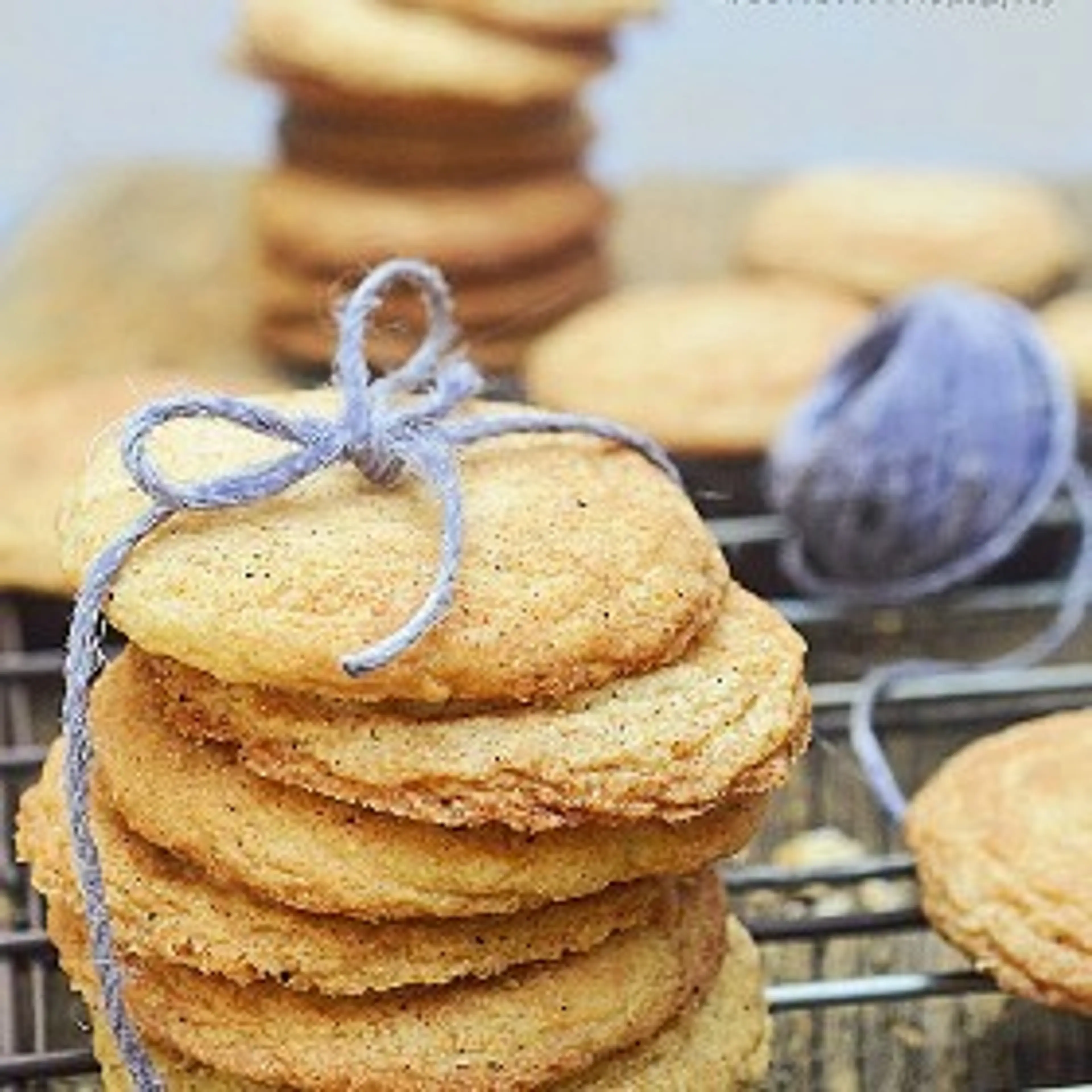 Best Ever Snickerdoodles