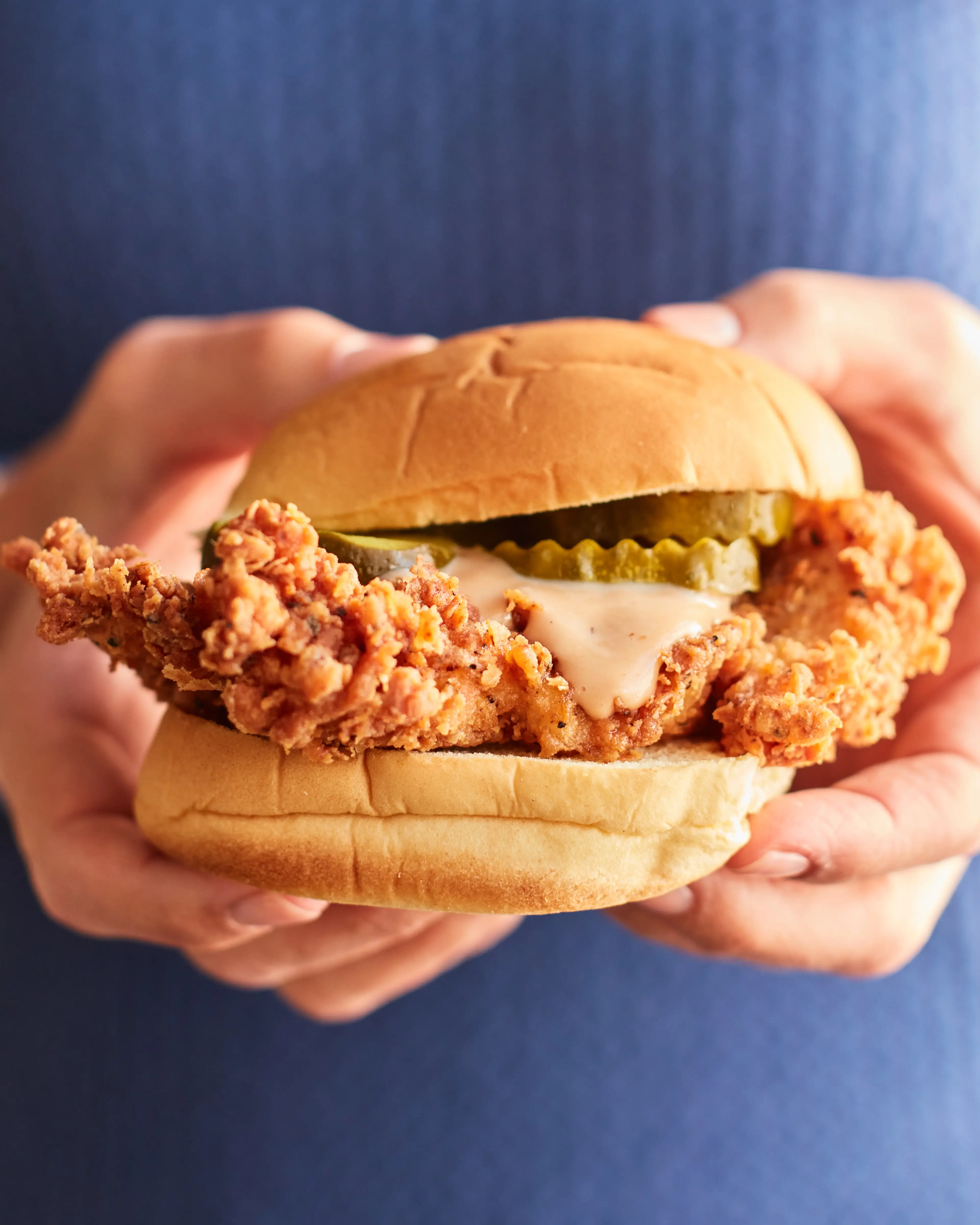 Honey BBQ Chickie Tendies