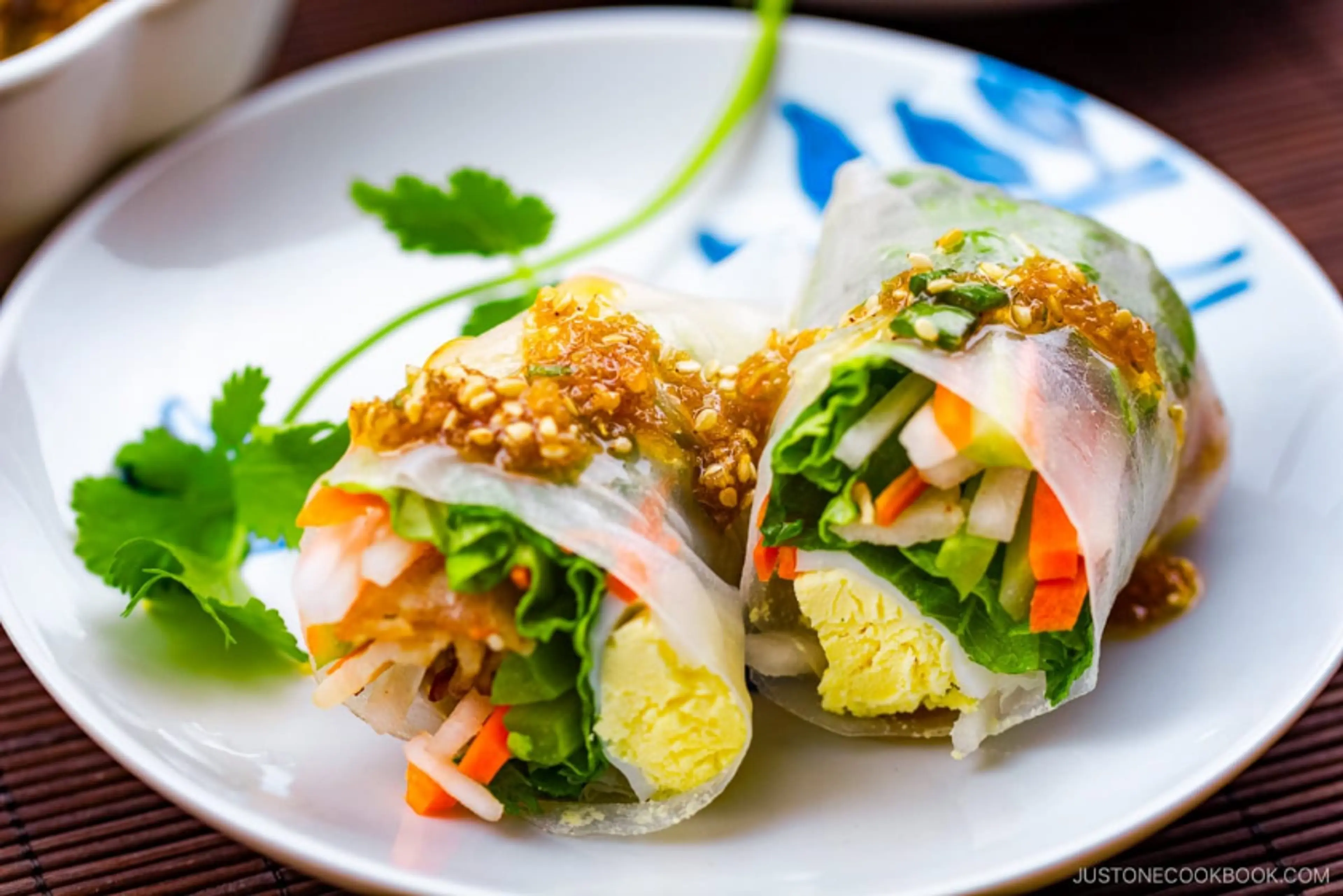 Spring Rolls with Sesame Ponzu Vinaigrette