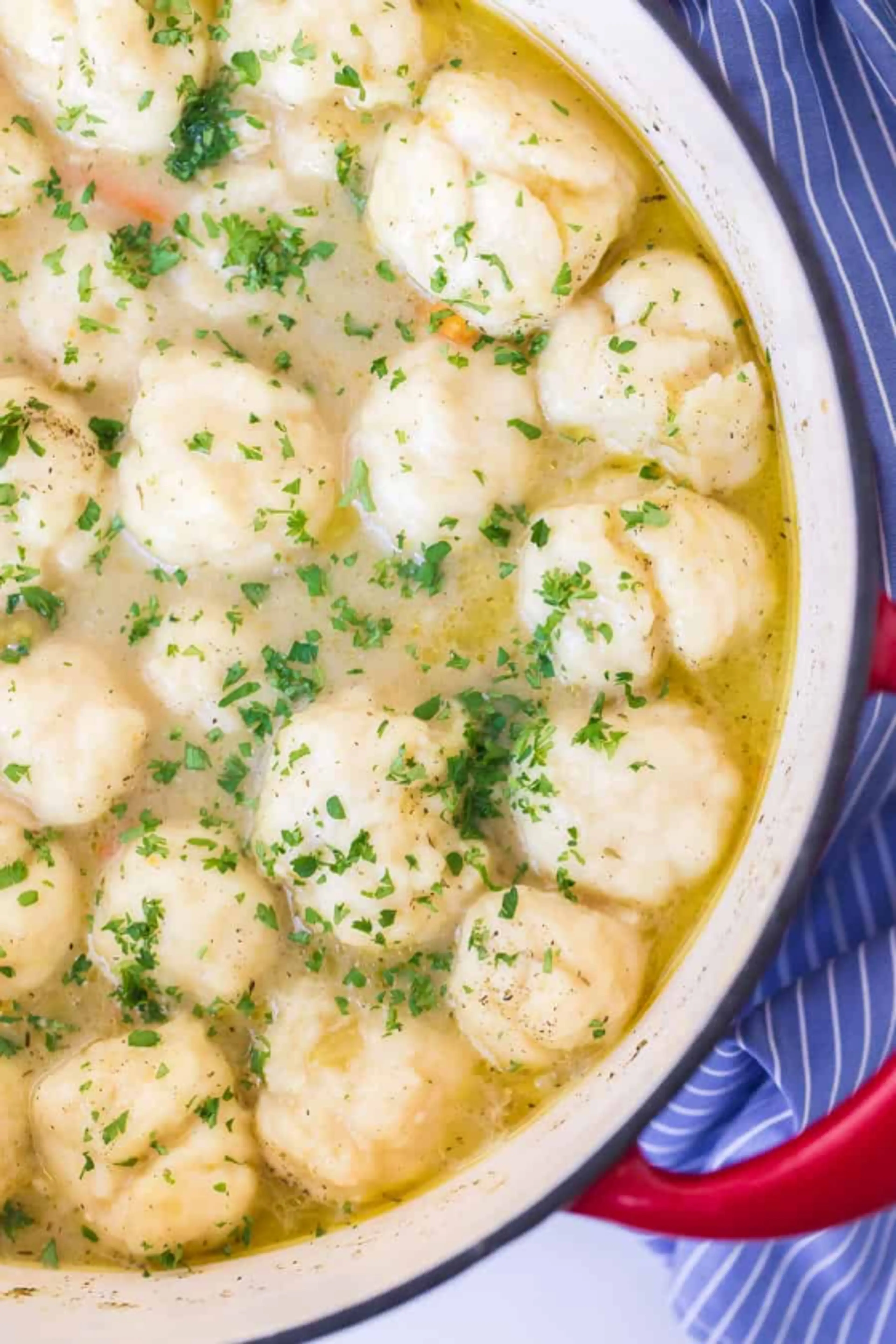 Old Fashioned Chicken and Dumplings Soup