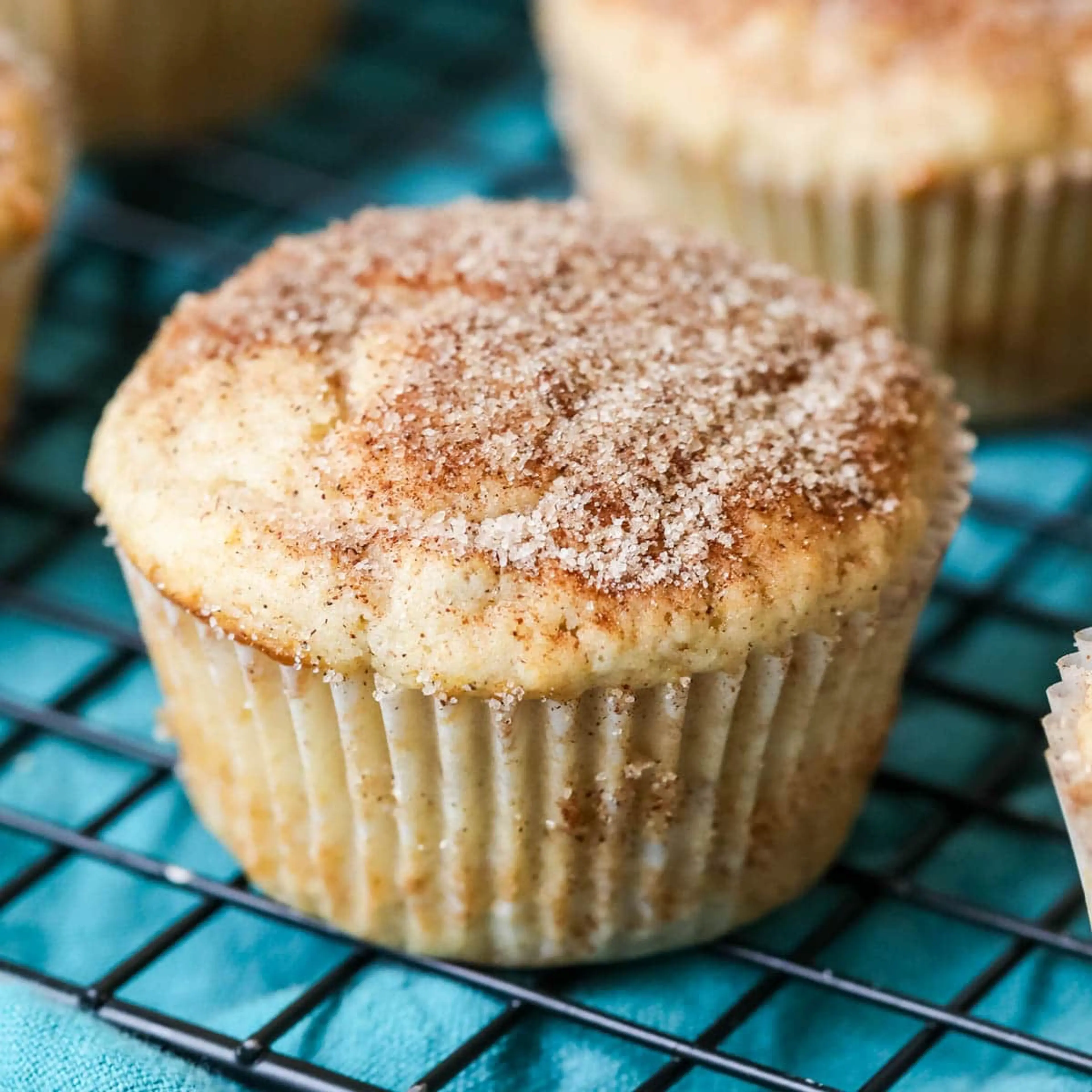 Cinnamon Muffins