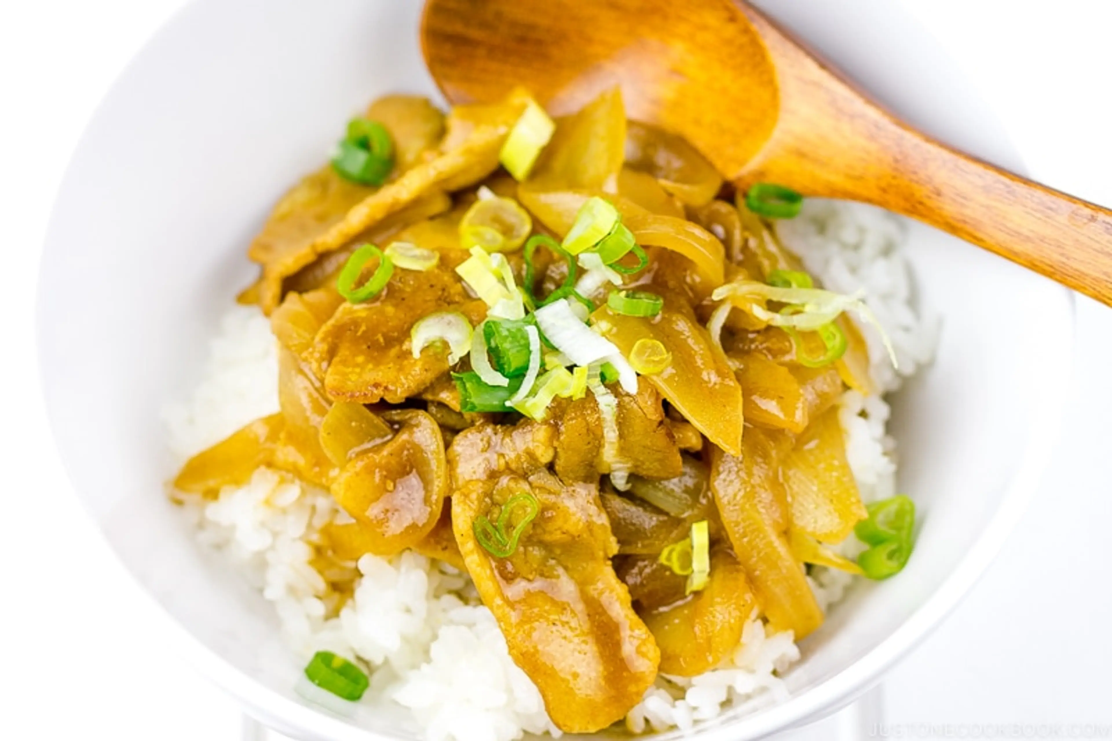 Pork Curry Donburi