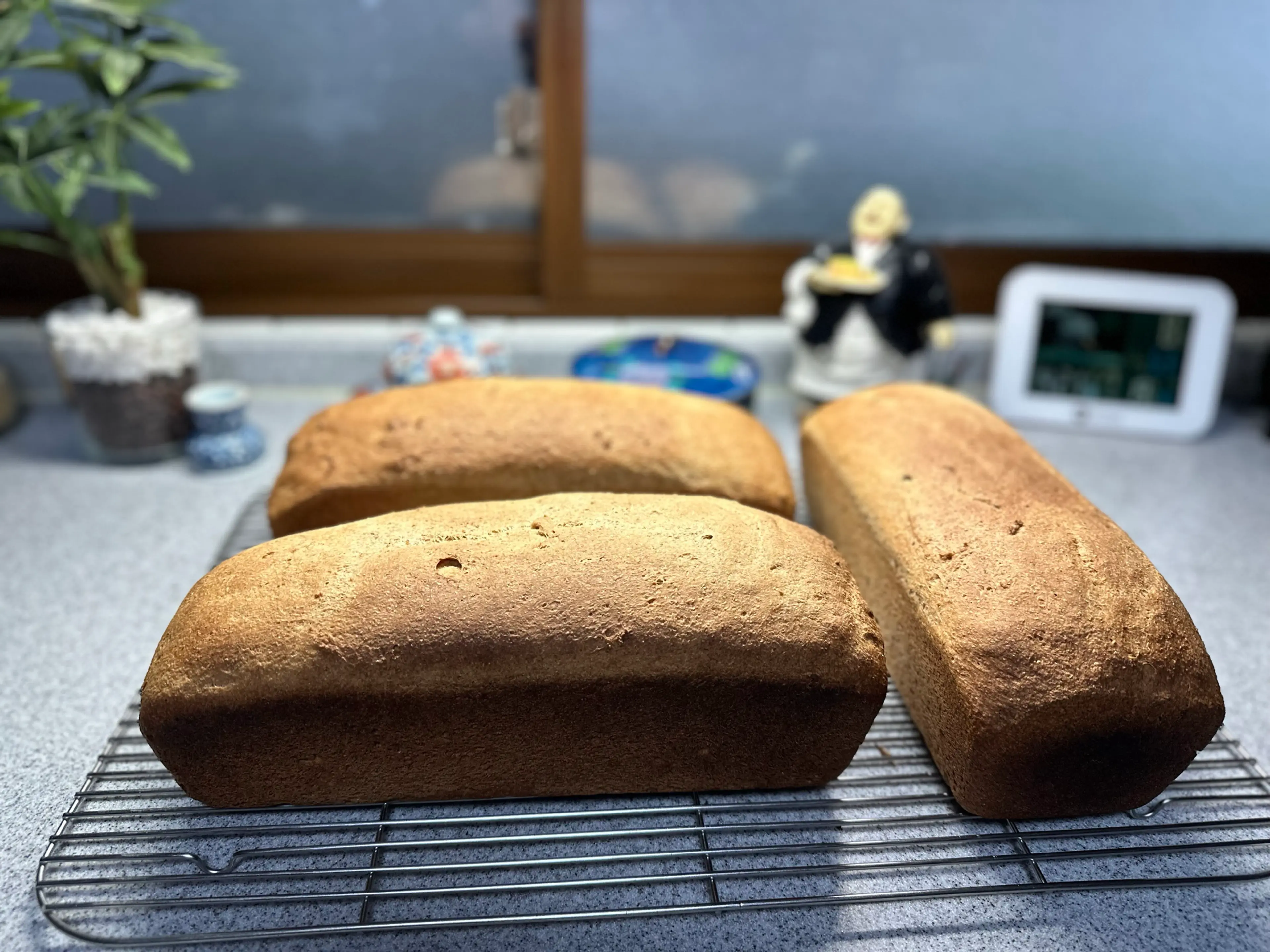 Lauri’s whole wheat bread
