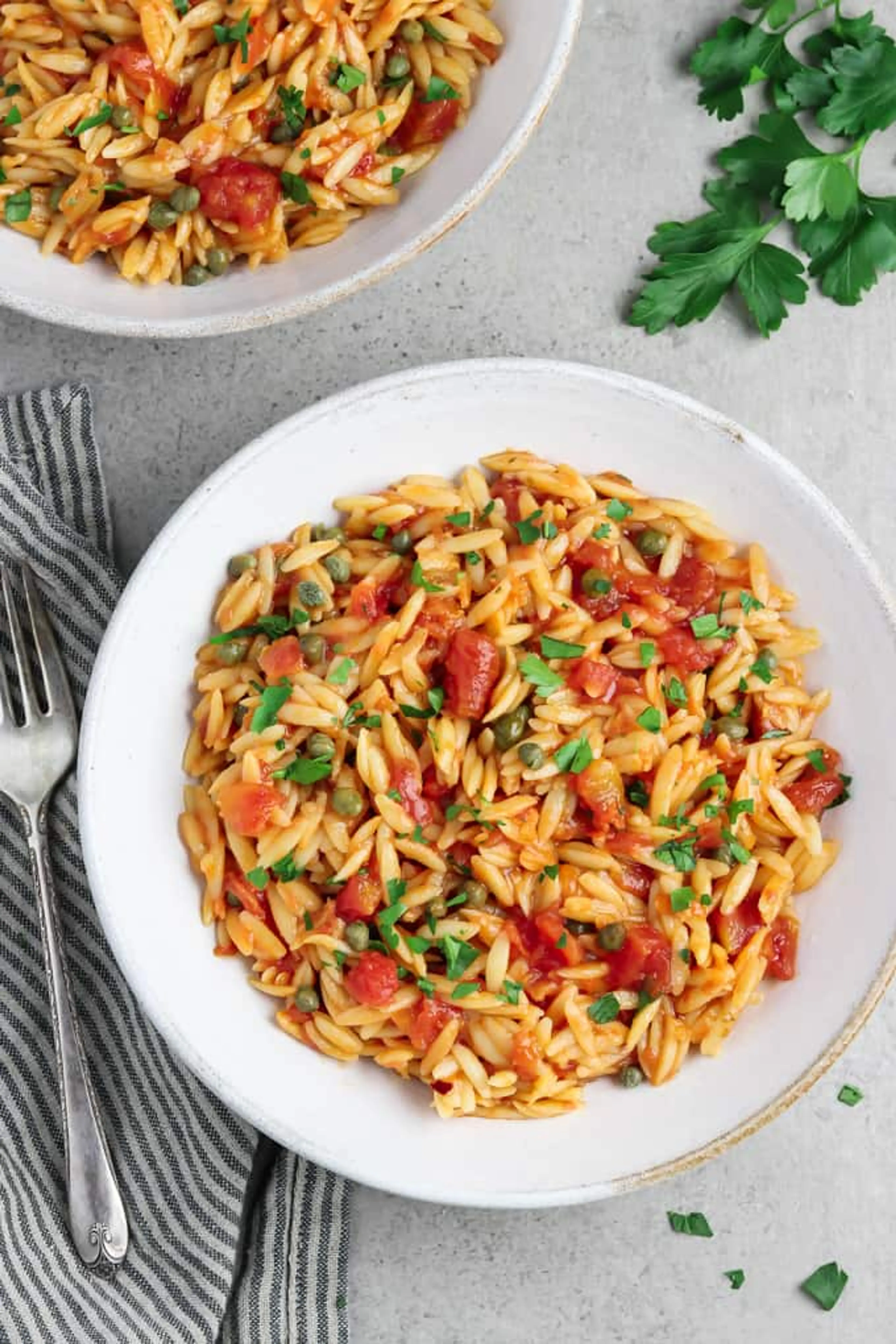 One Pot Tomato Orzo Recipe