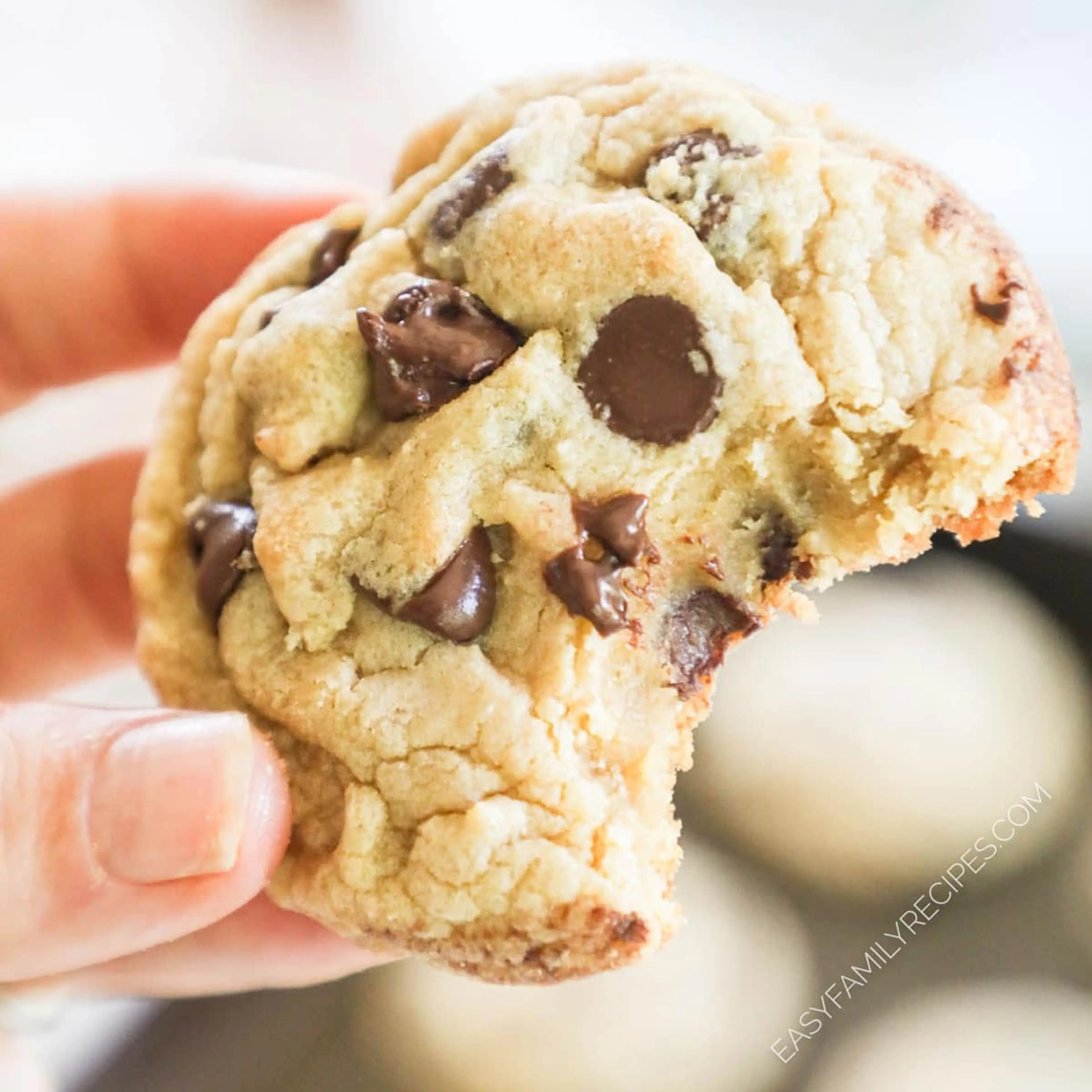 Chocolate Chip Pudding Cookies