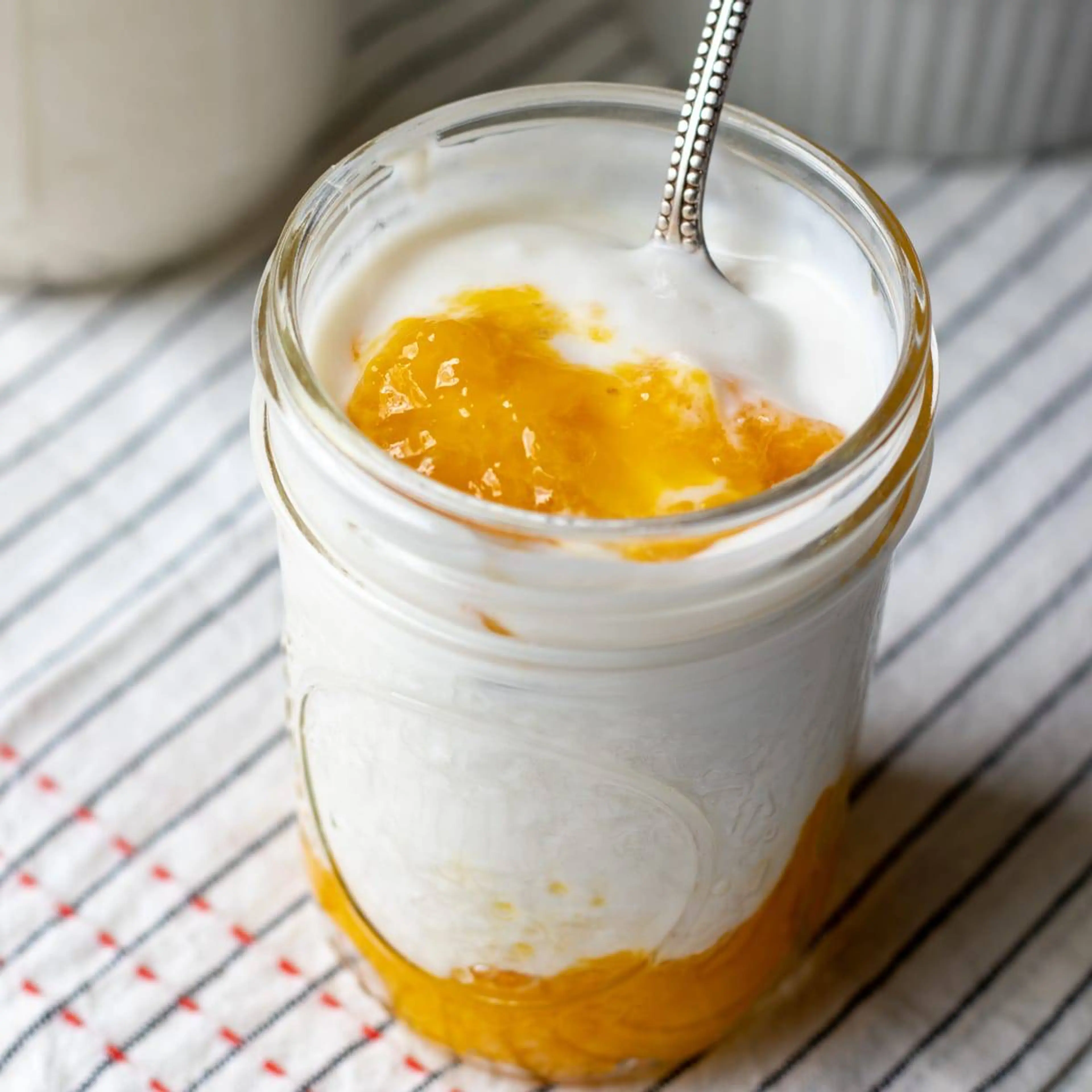 Instant Pot Cashew Yogurt