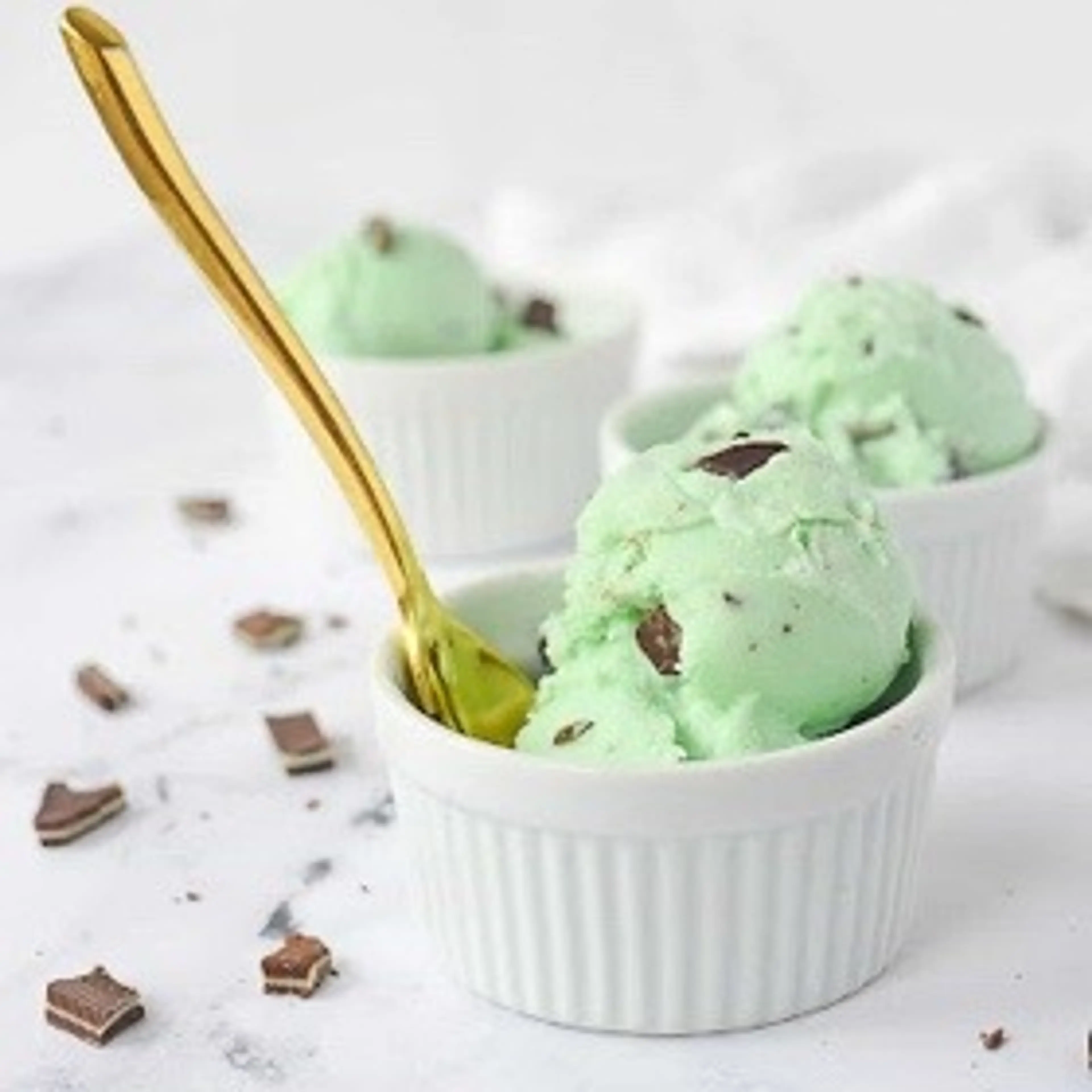 Mint Chocolate Chip Ice Cream