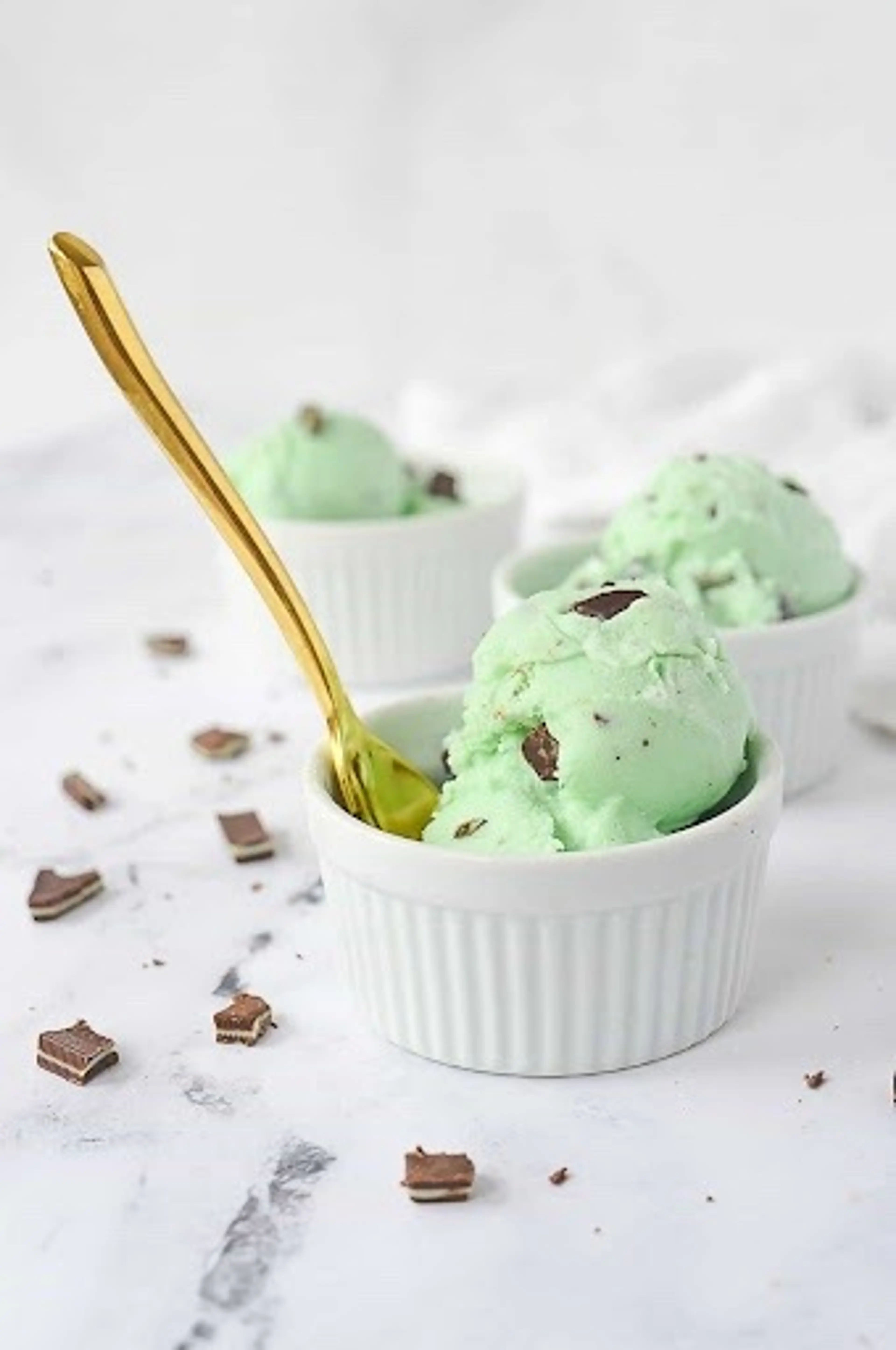 Mint Chocolate Chip Ice Cream