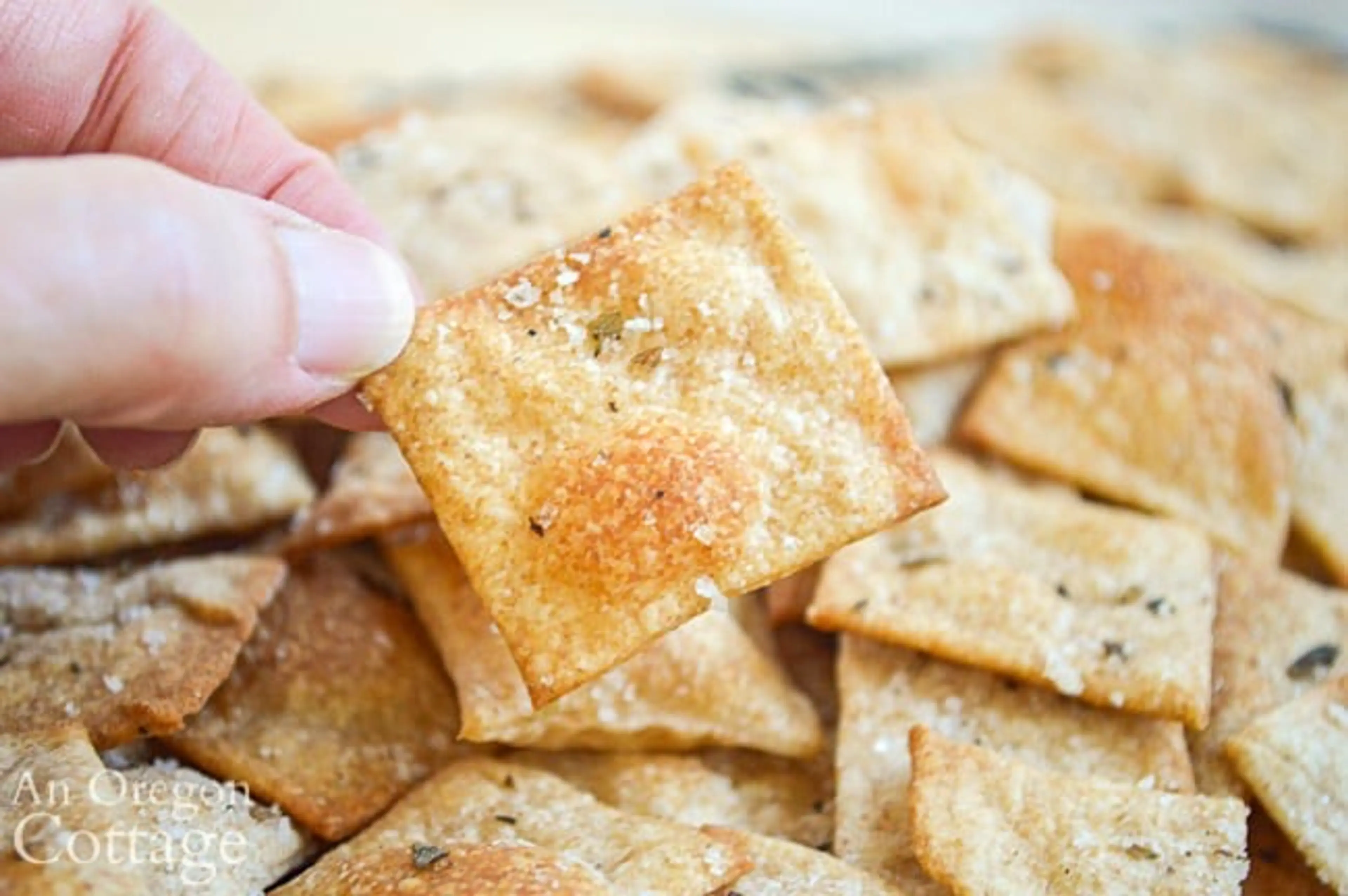 Sourdough Whole Wheat Crackers