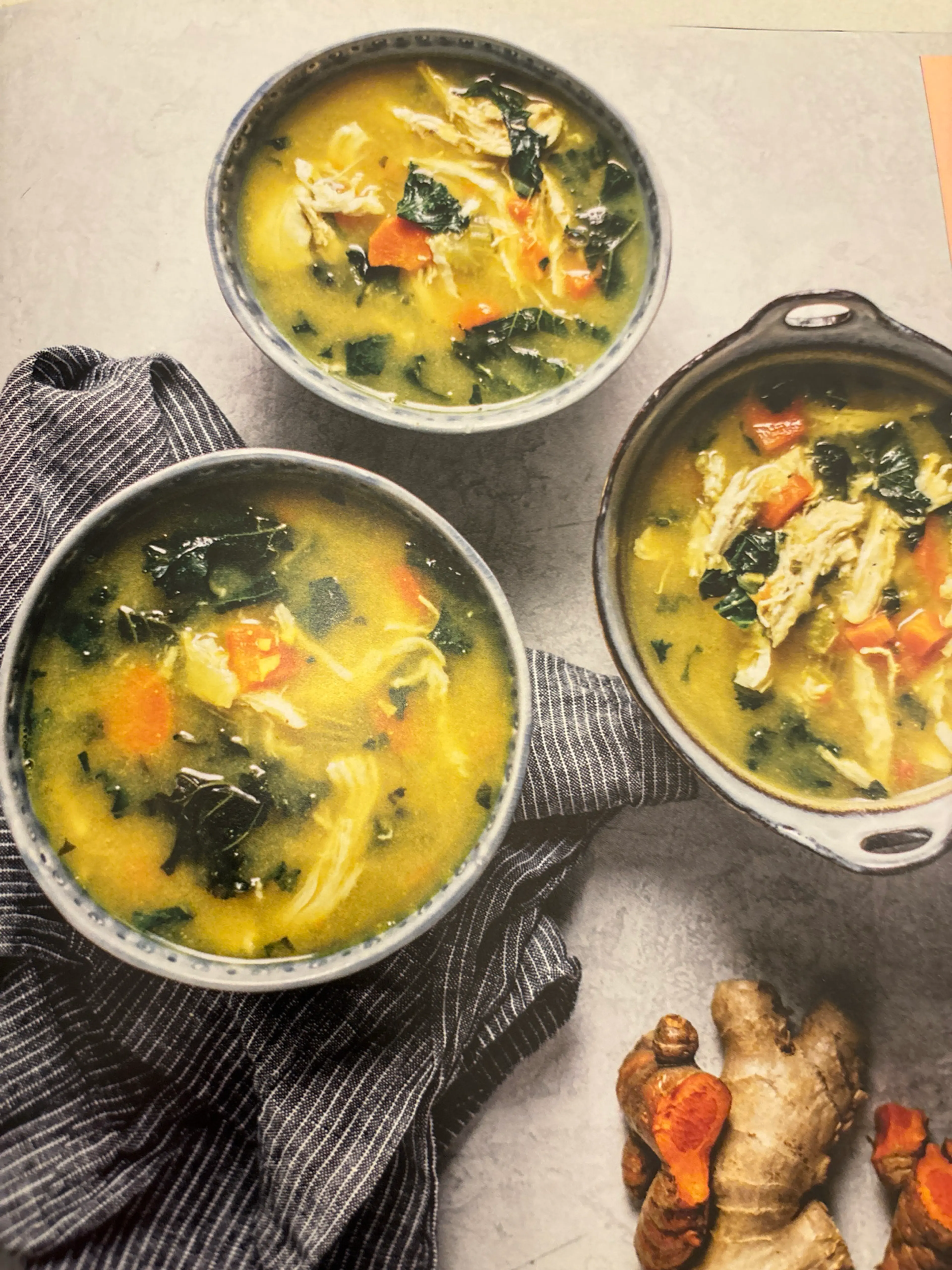 HEALING CHICKEN SOUP