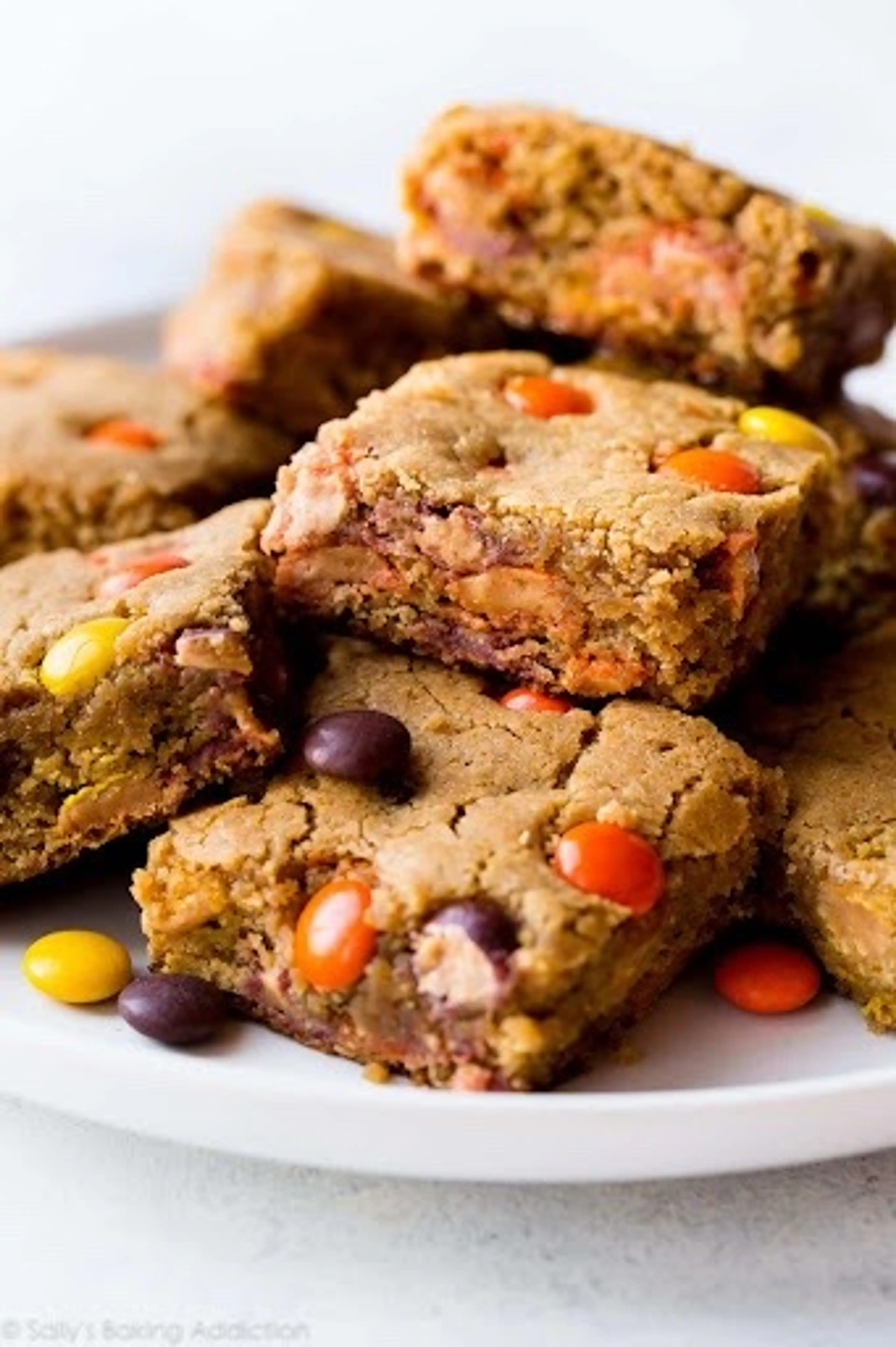 Peanut Butter Blondies - Sally's Baking Addiction