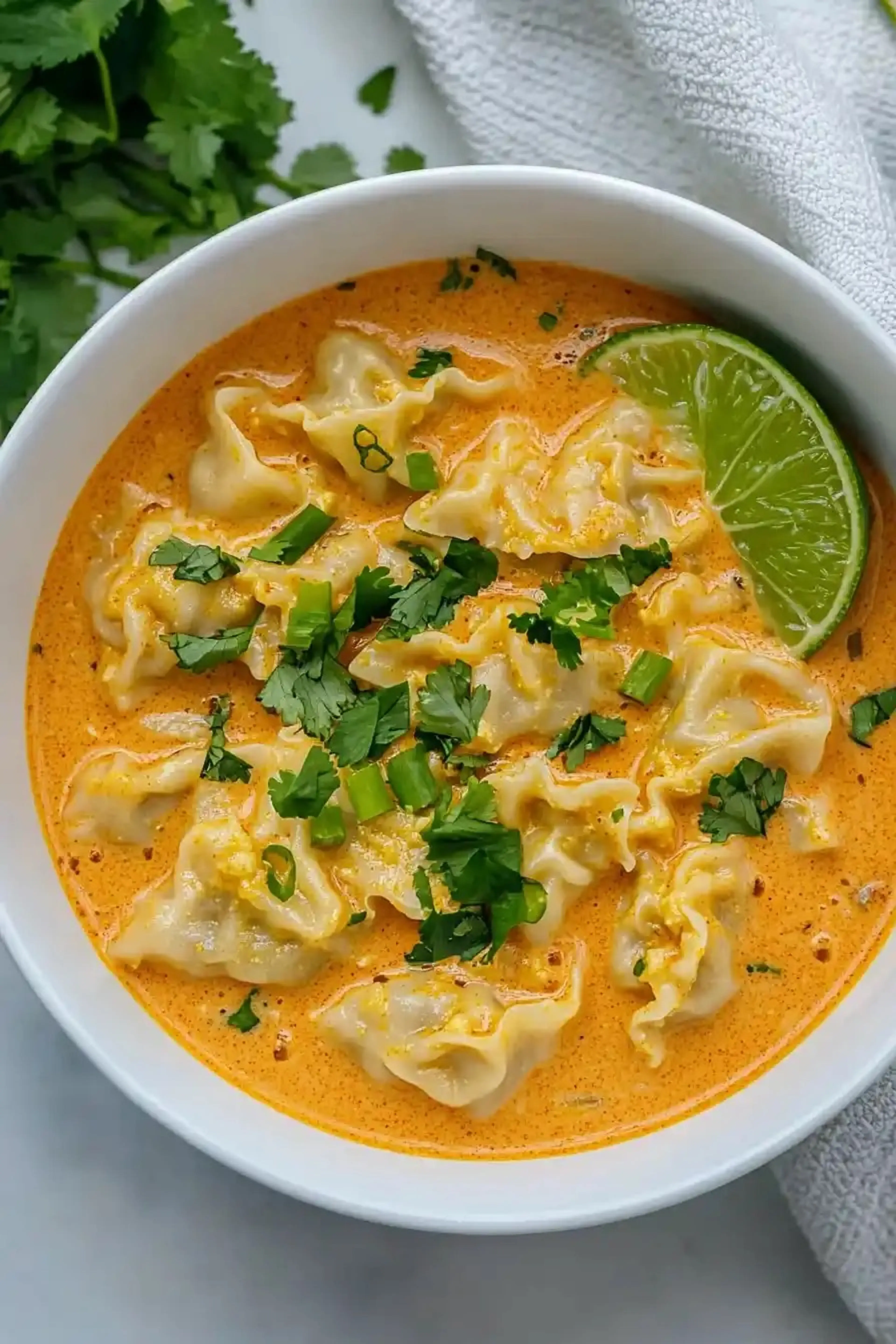 Delicious Curry Dumpling Soup