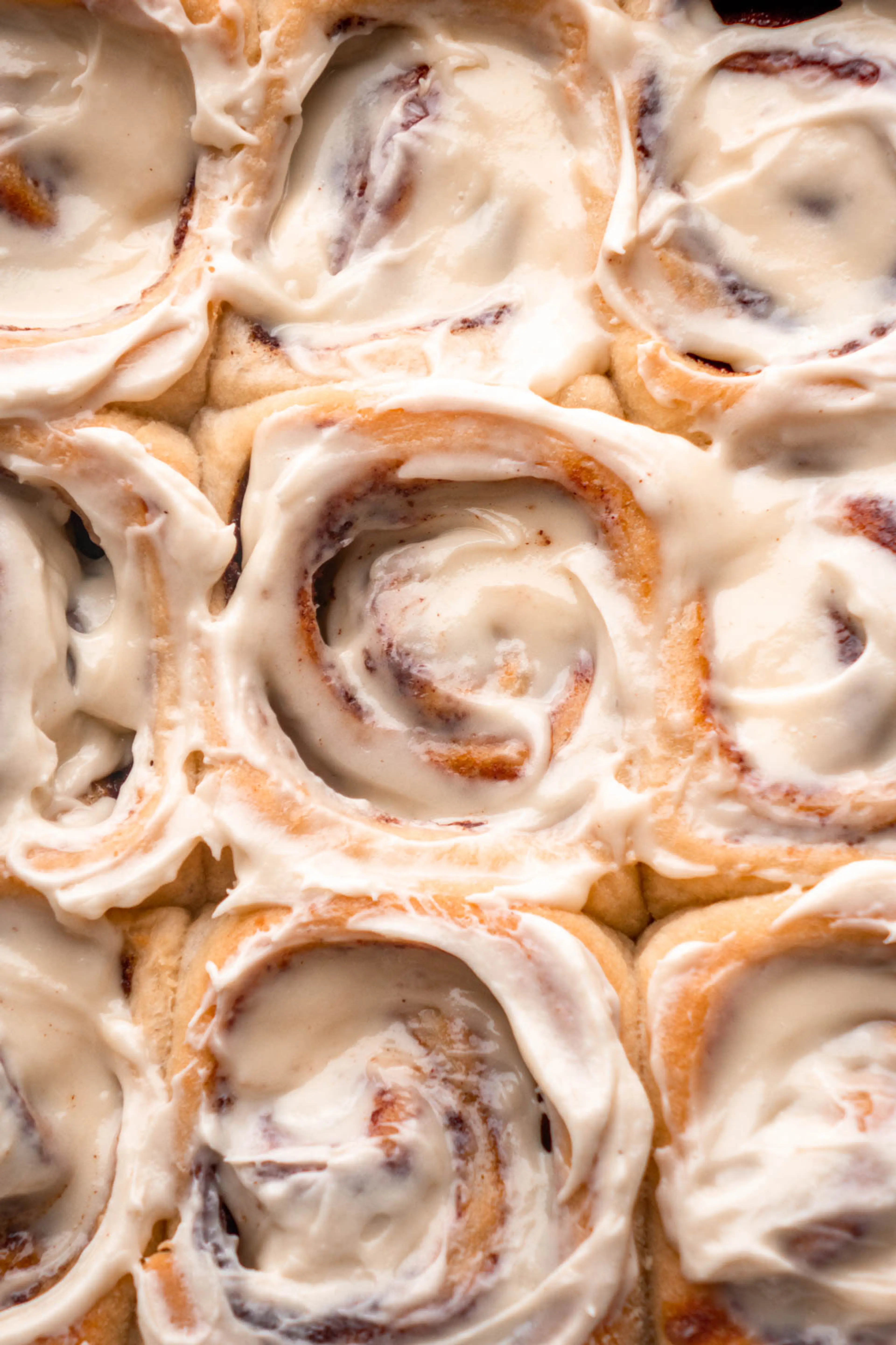 The Best Cinnamon Rolls Ever