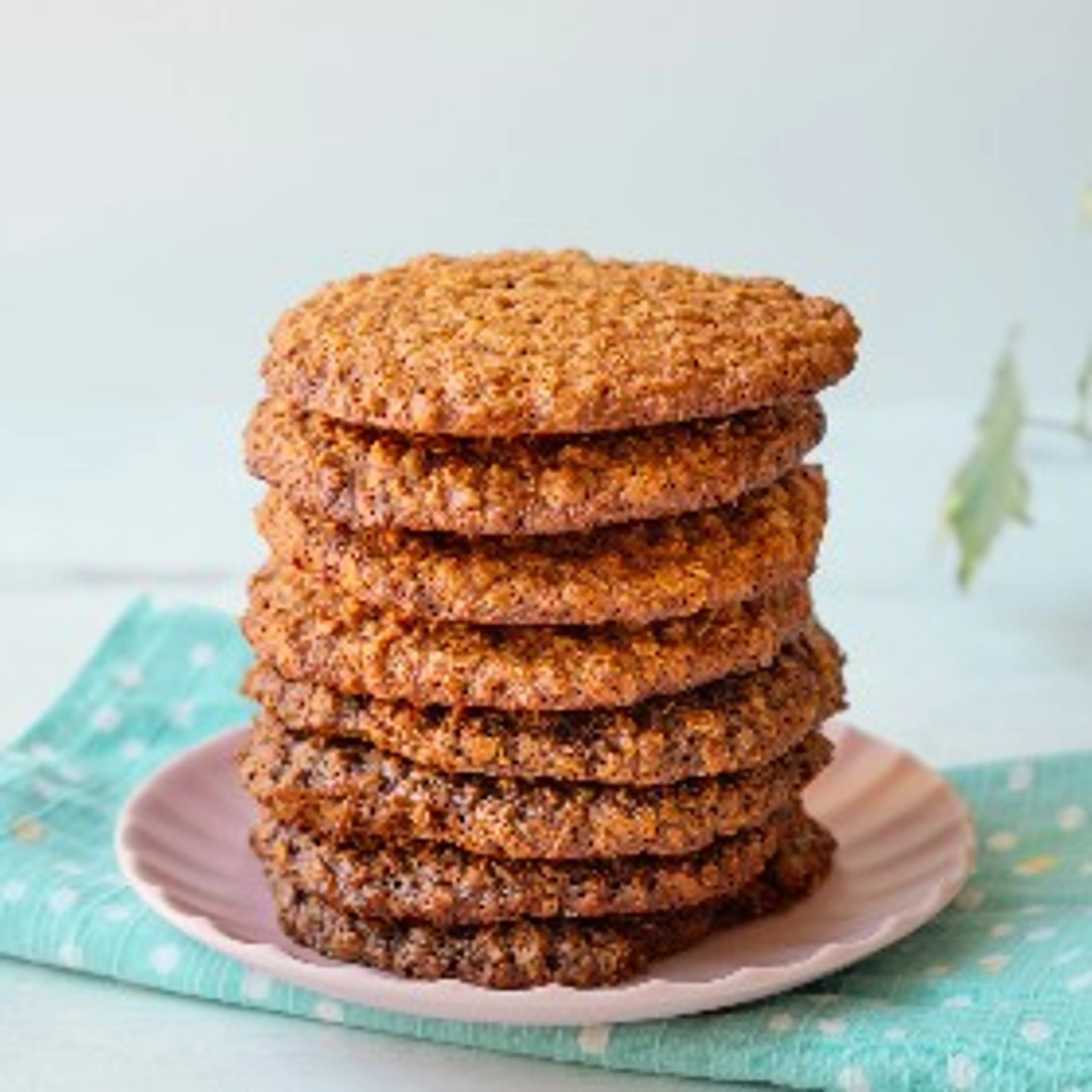 Gingerbread Oat Cookies