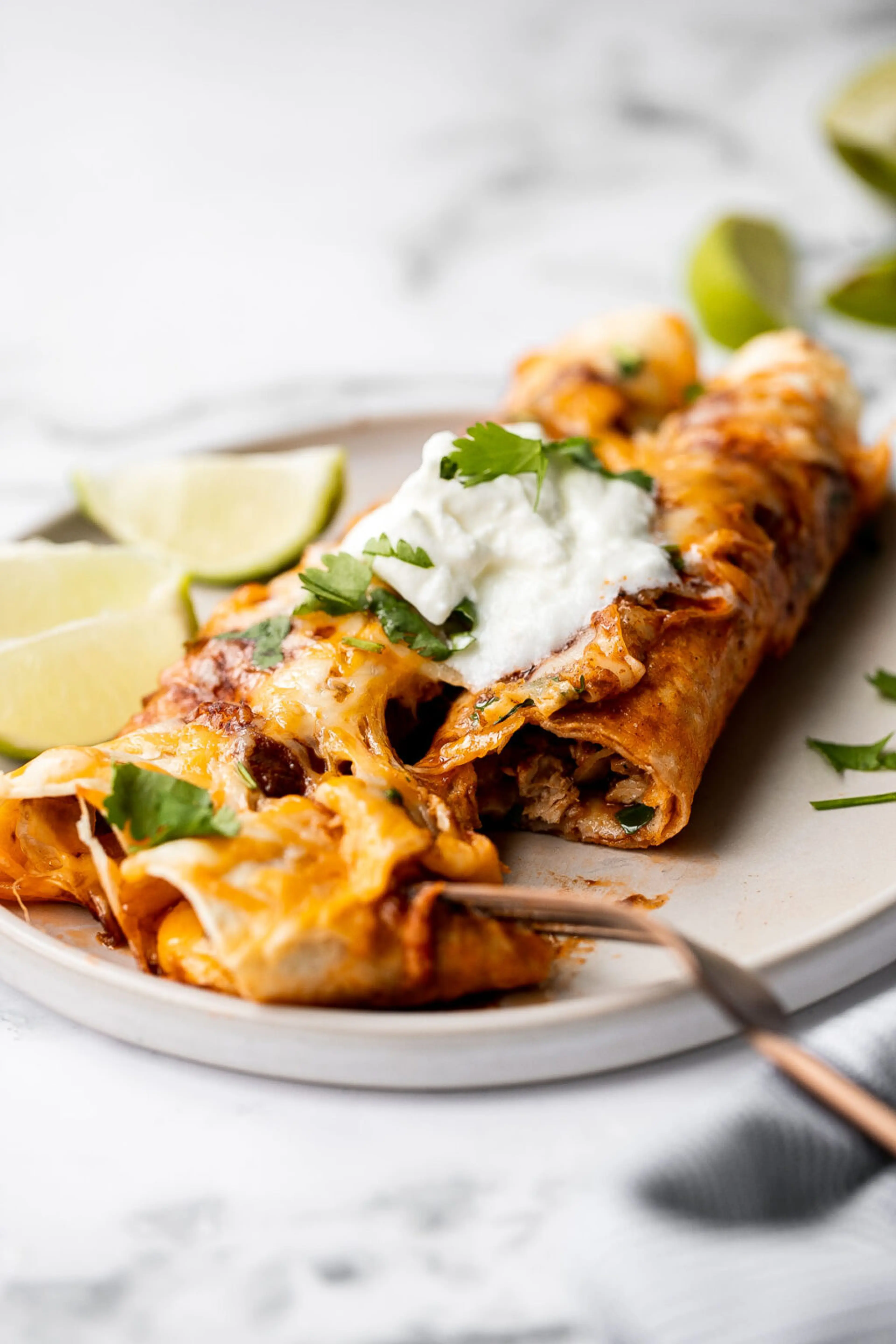 Chicken Enchiladas