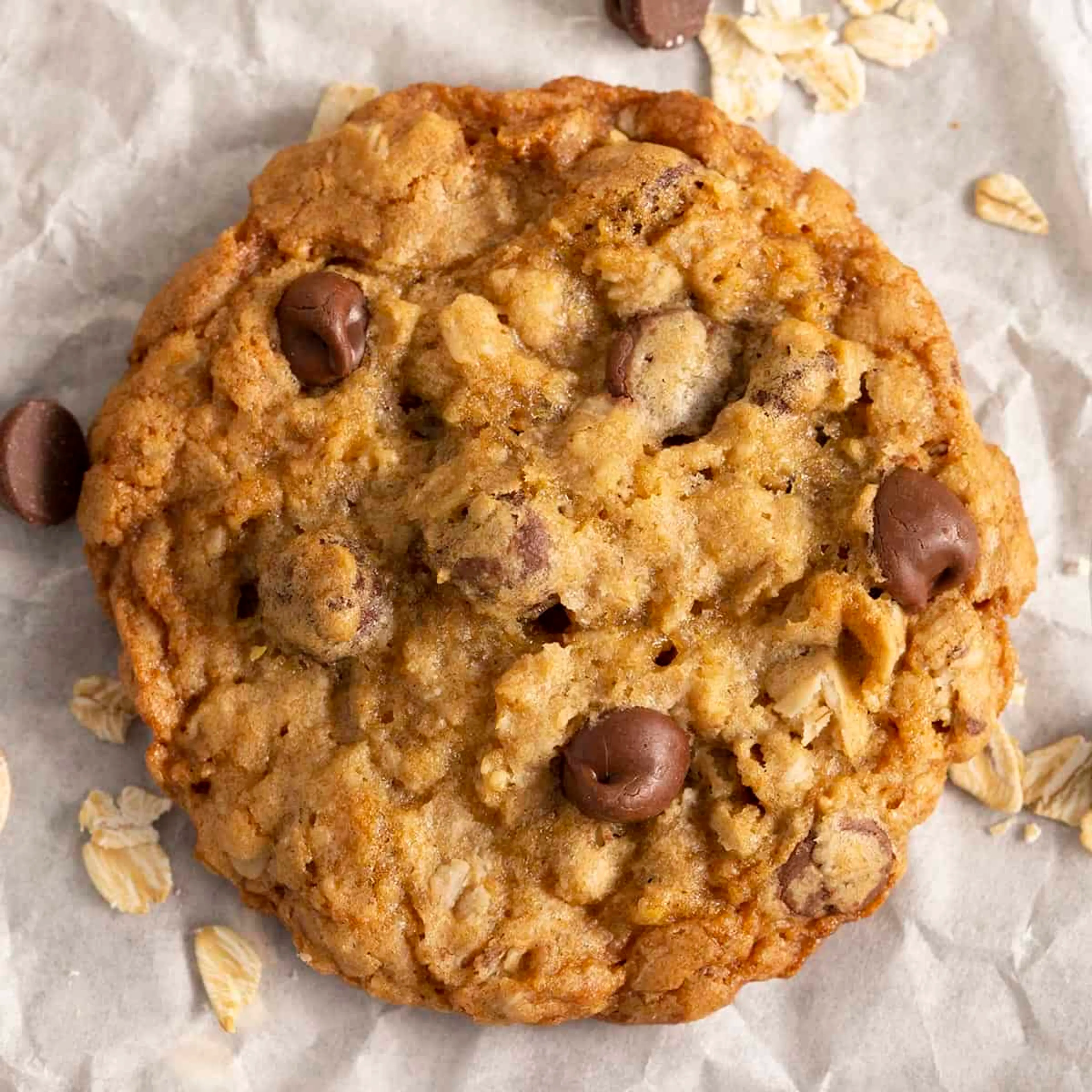 Oatmeal Chocolate Chip Cookies