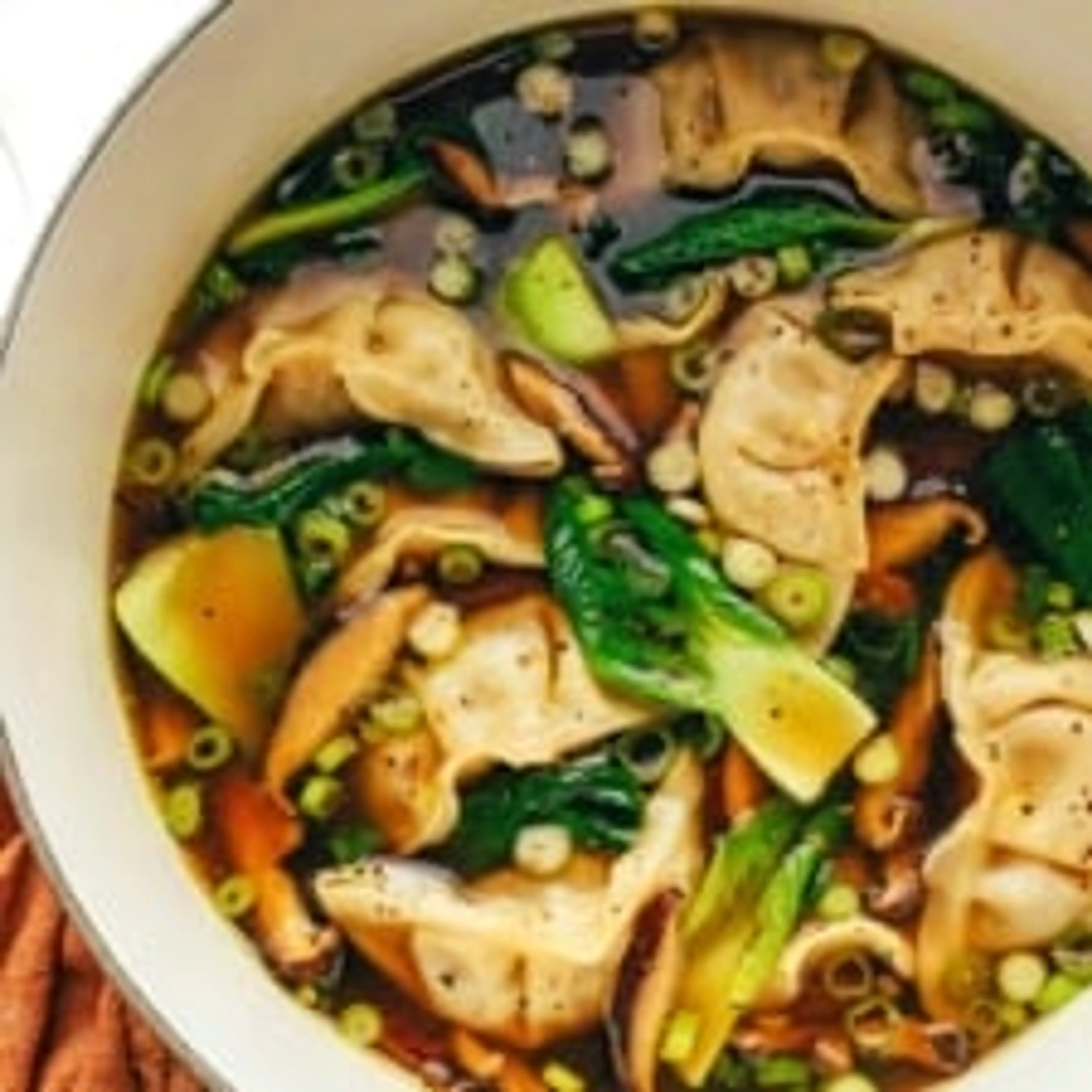 Potsticker Soup