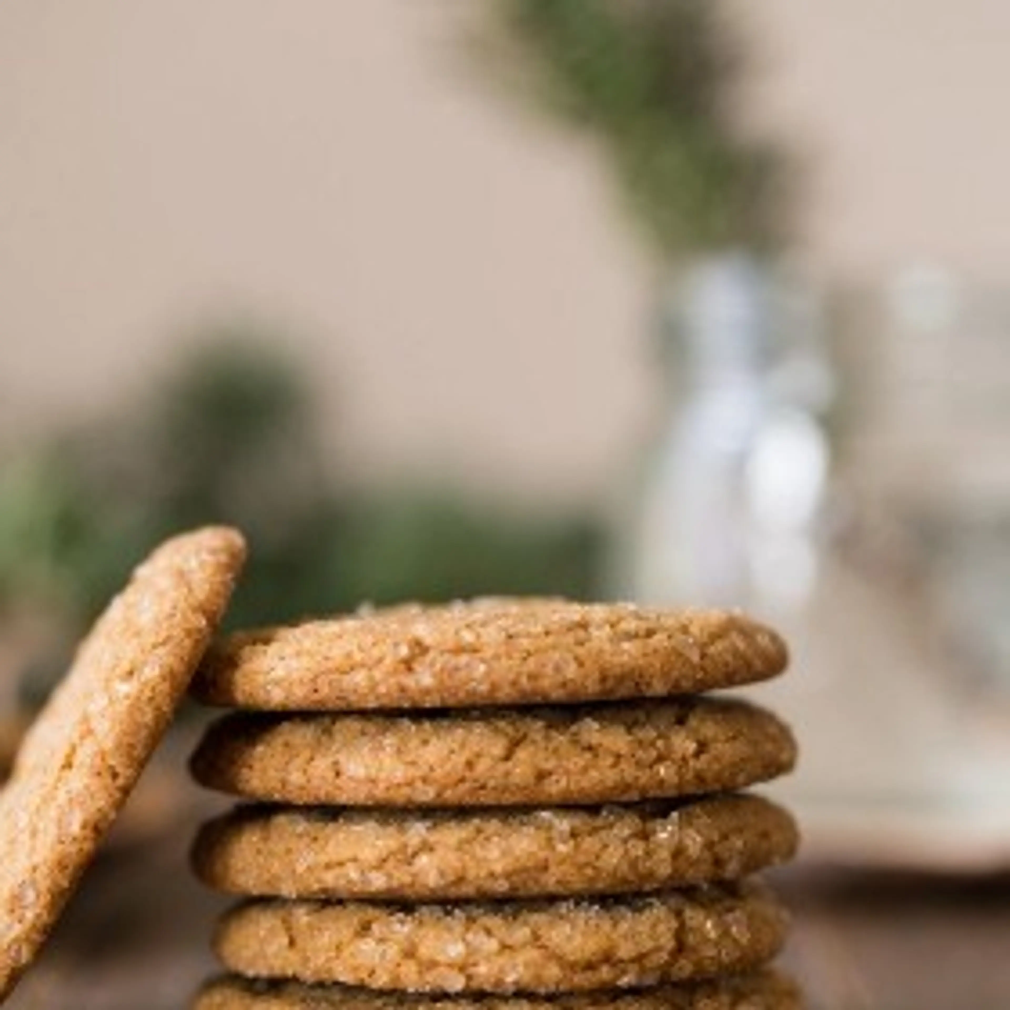 Old Fashioned Ginger Snaps