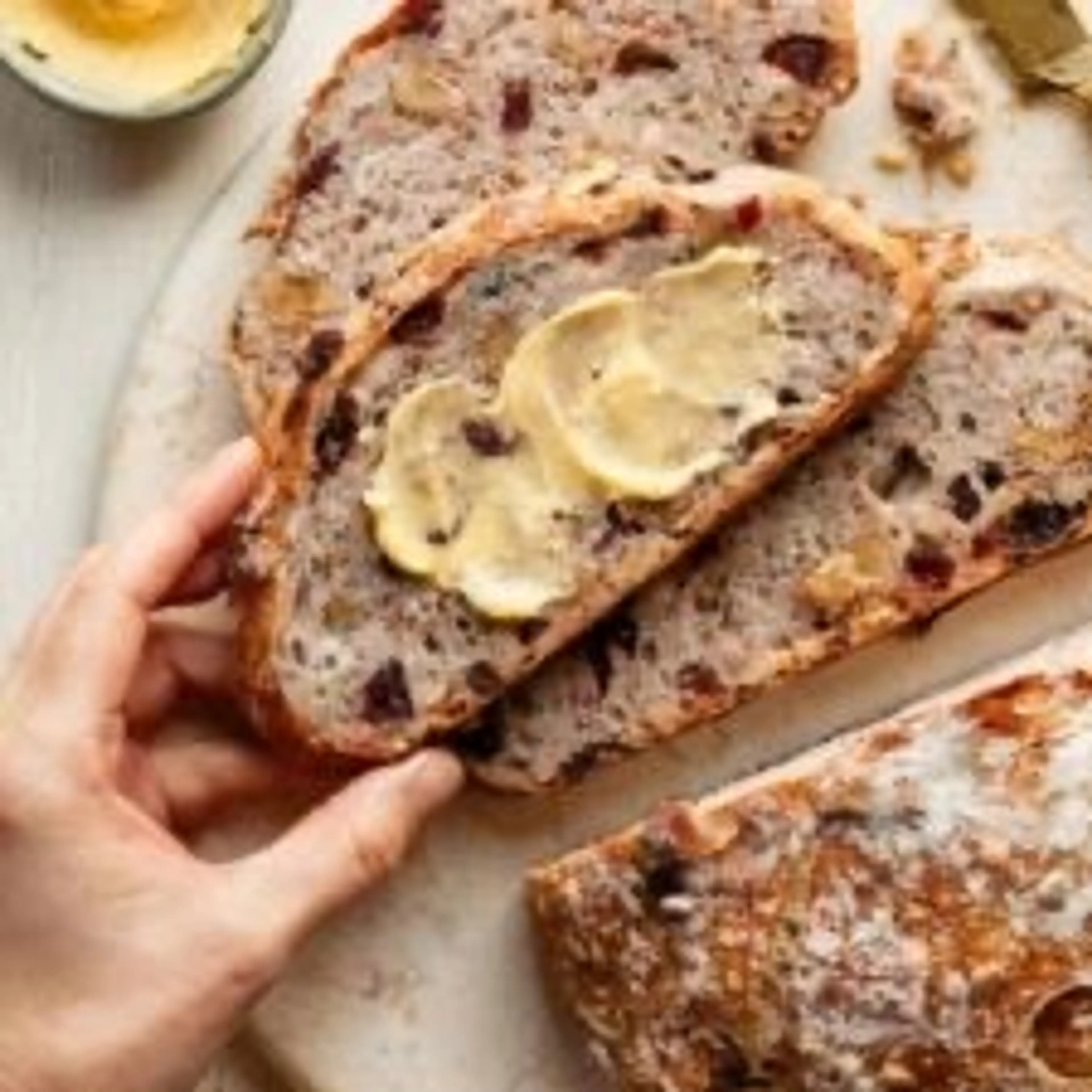 Crusty Cranberry Nut No Knead Bread