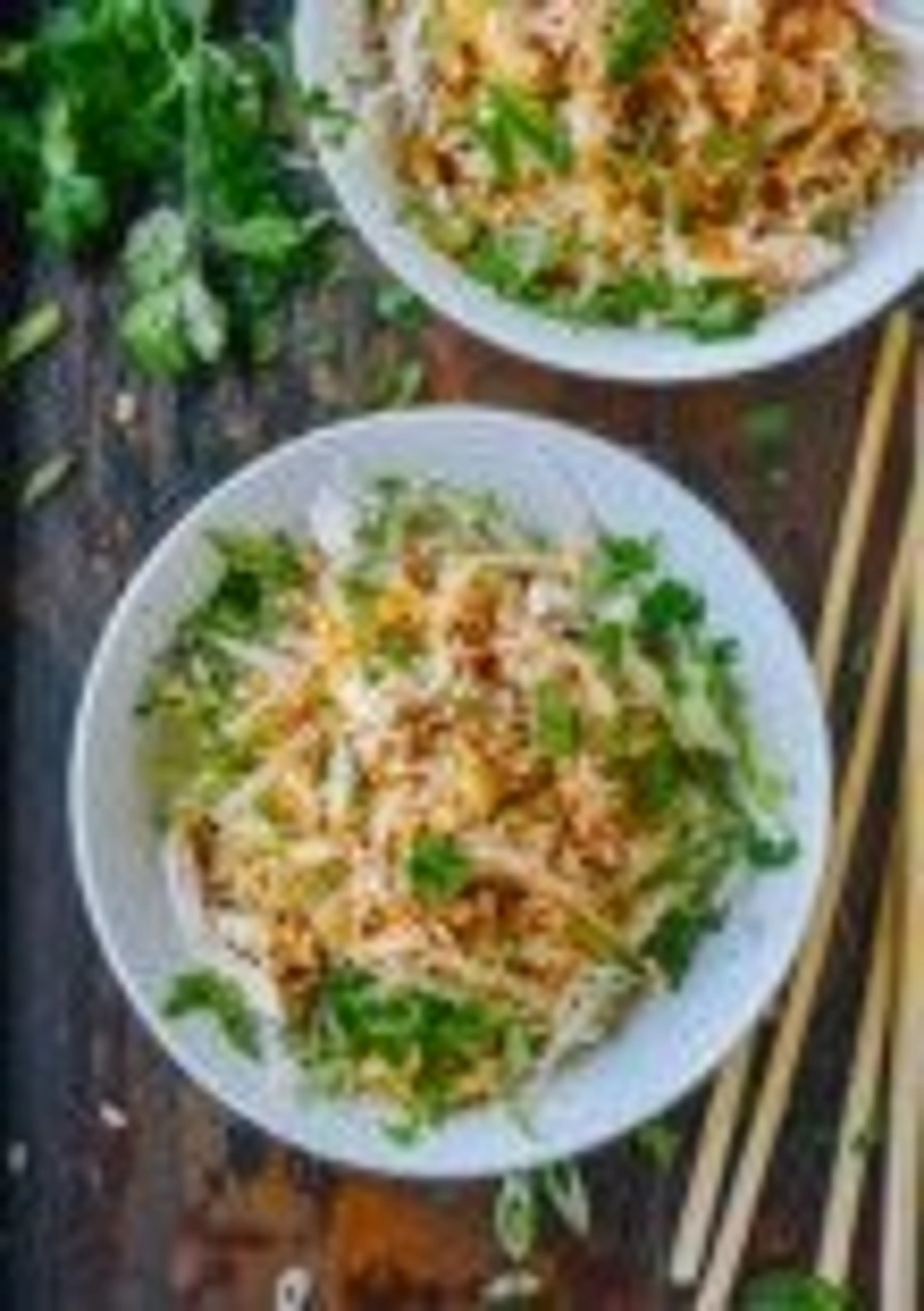 Cold Noodles with Shredded Chicken