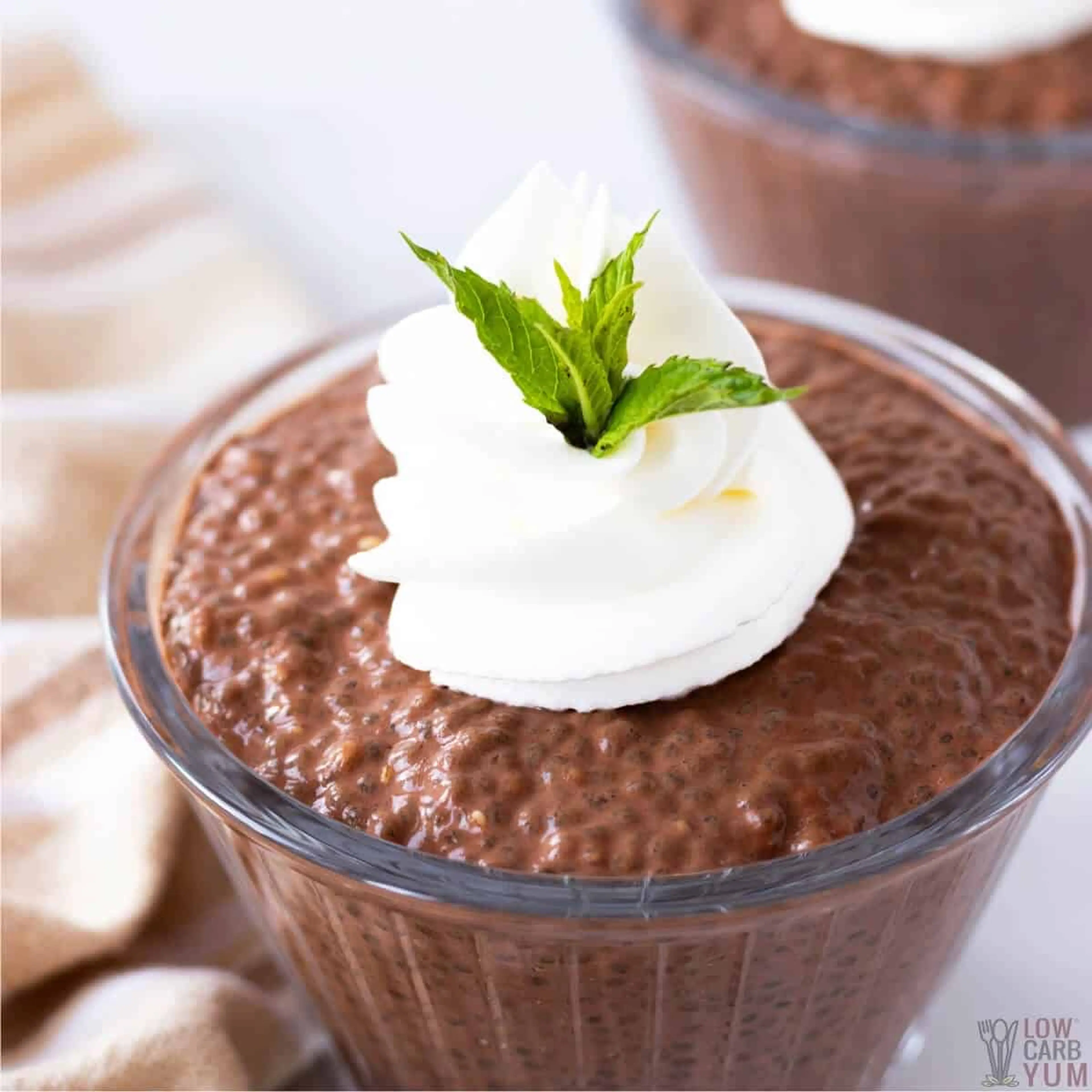 Chocolate Chia Pudding