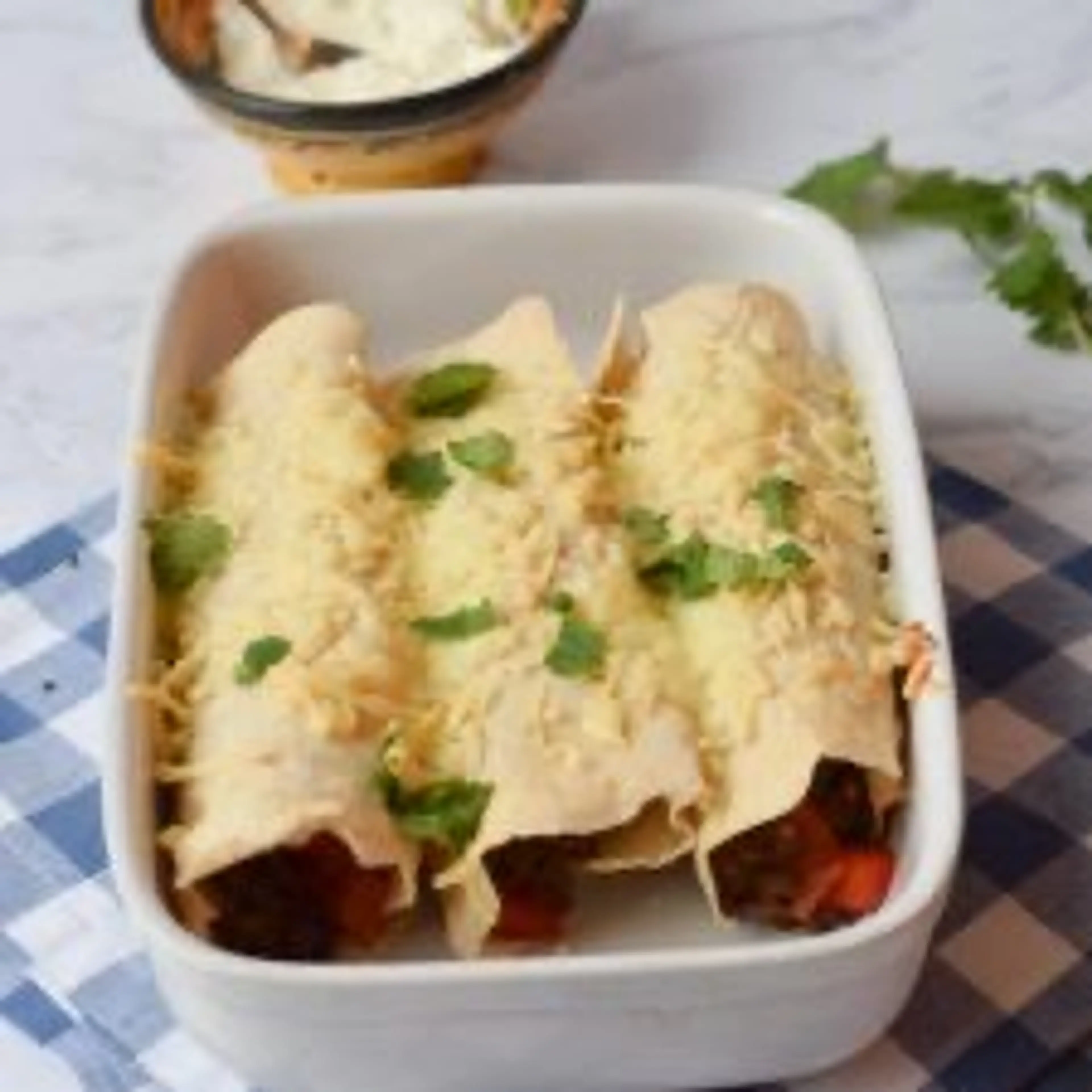 Low FODMAP burrito's