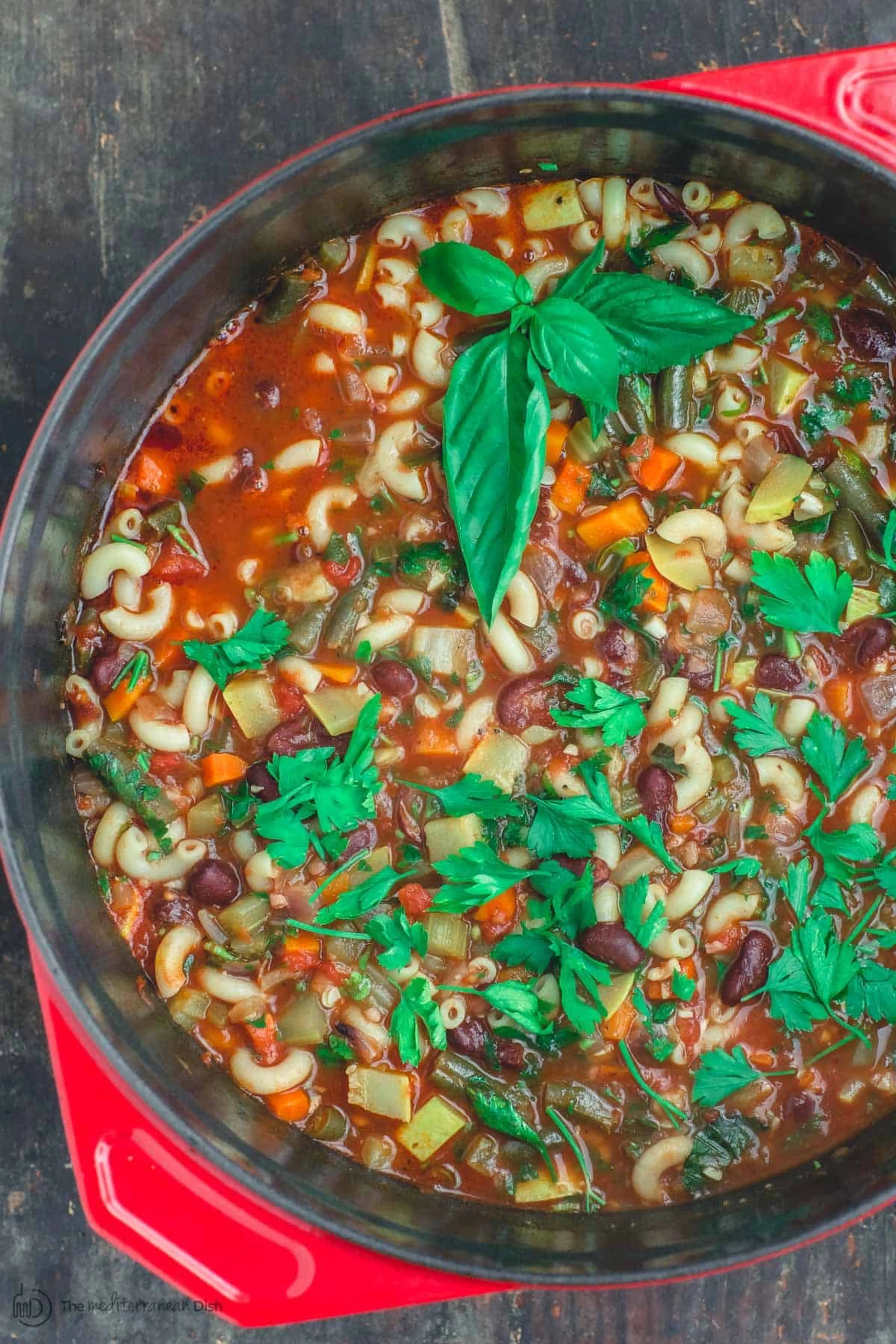 Vegetarian Minestrone Soup