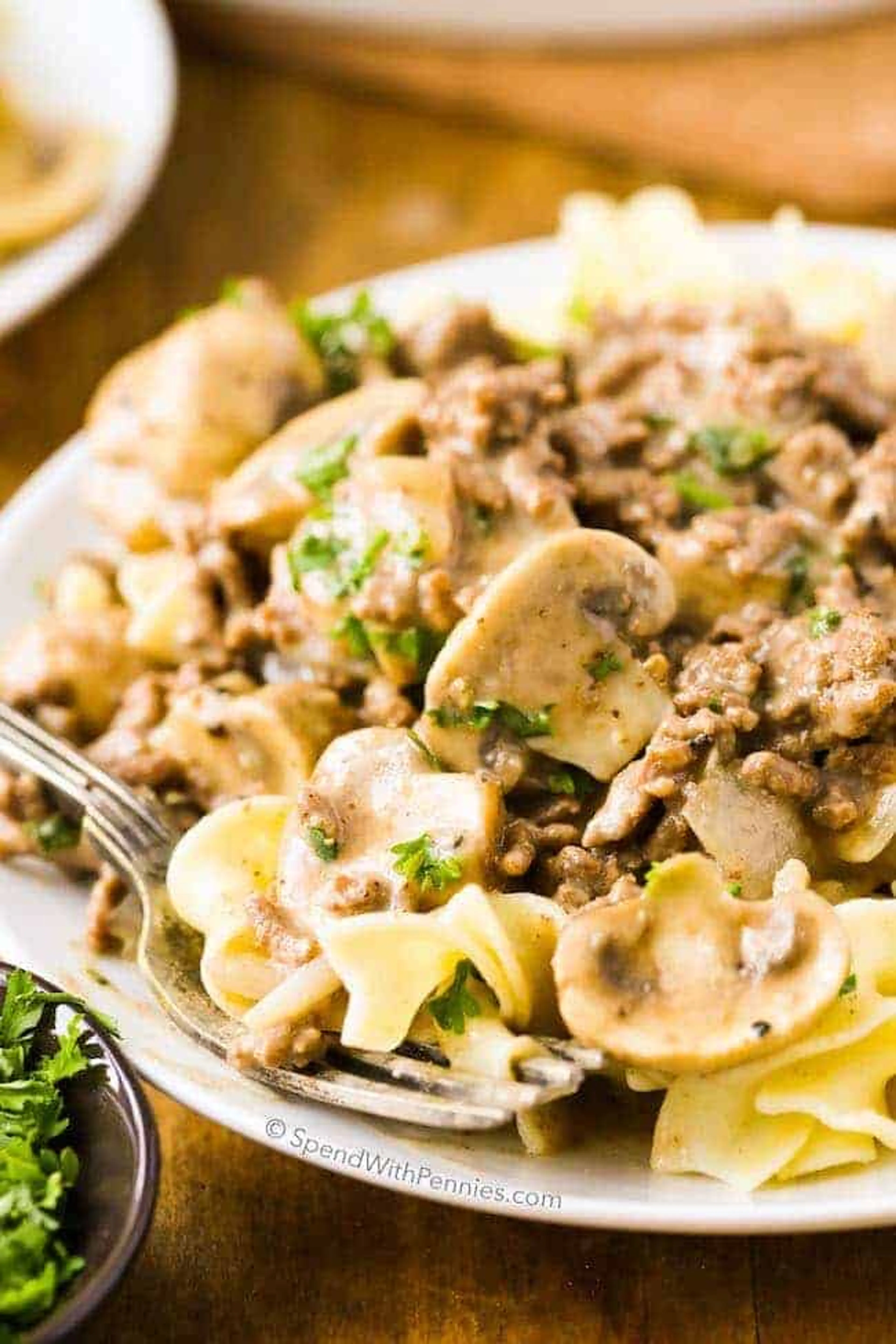 Ground Beef Stroganoff (Hamburger)