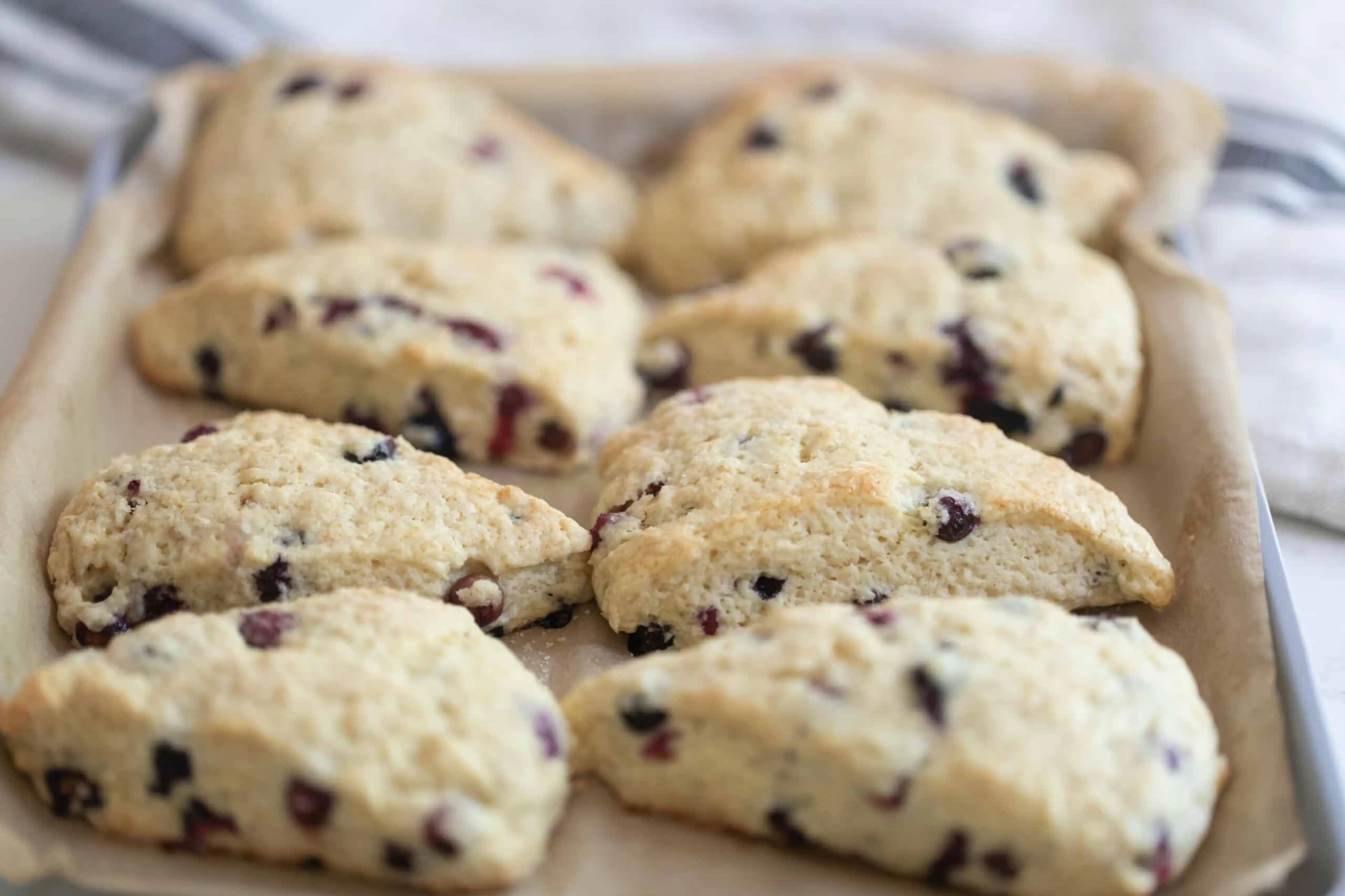 Sourdough Scones