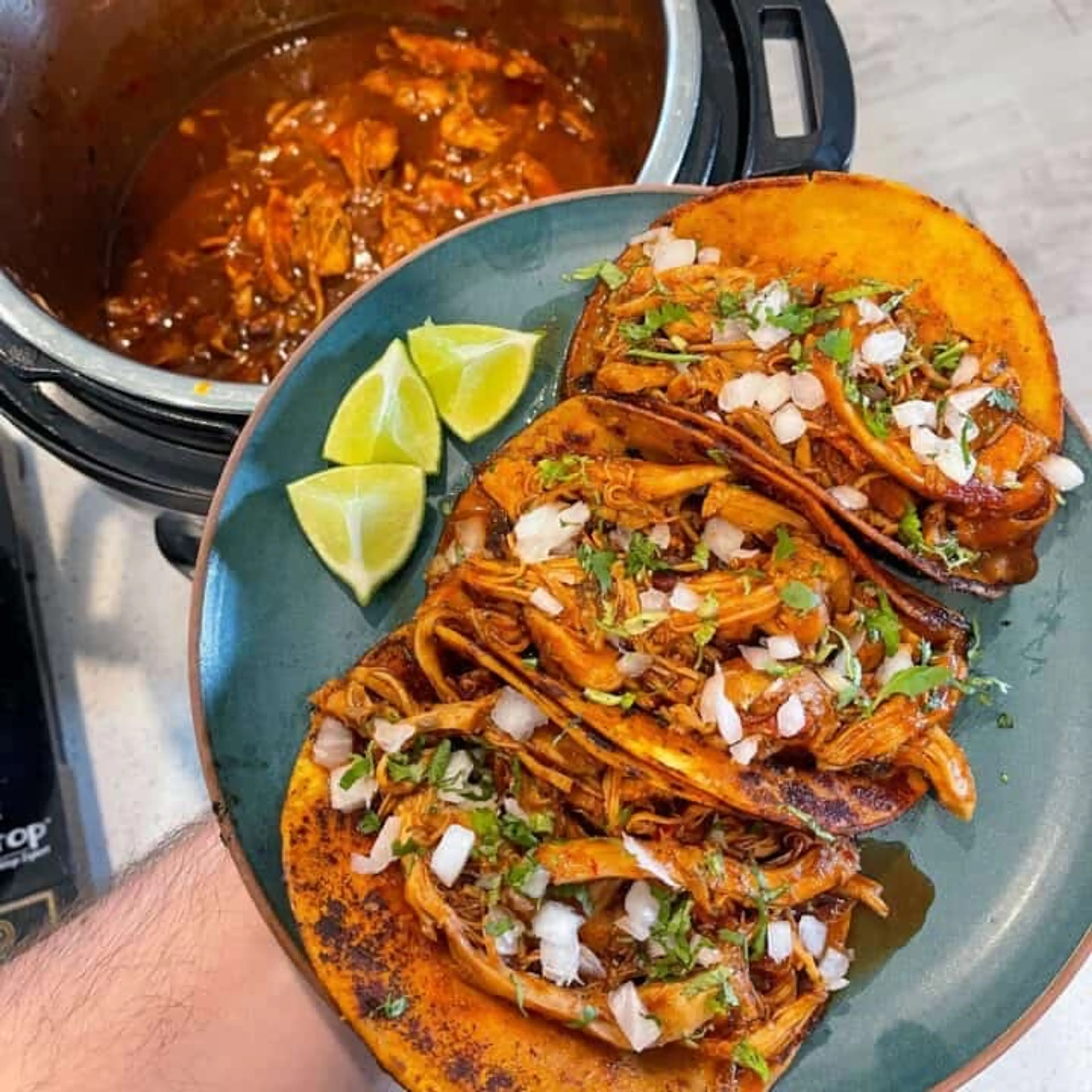 Birria instant pot sale