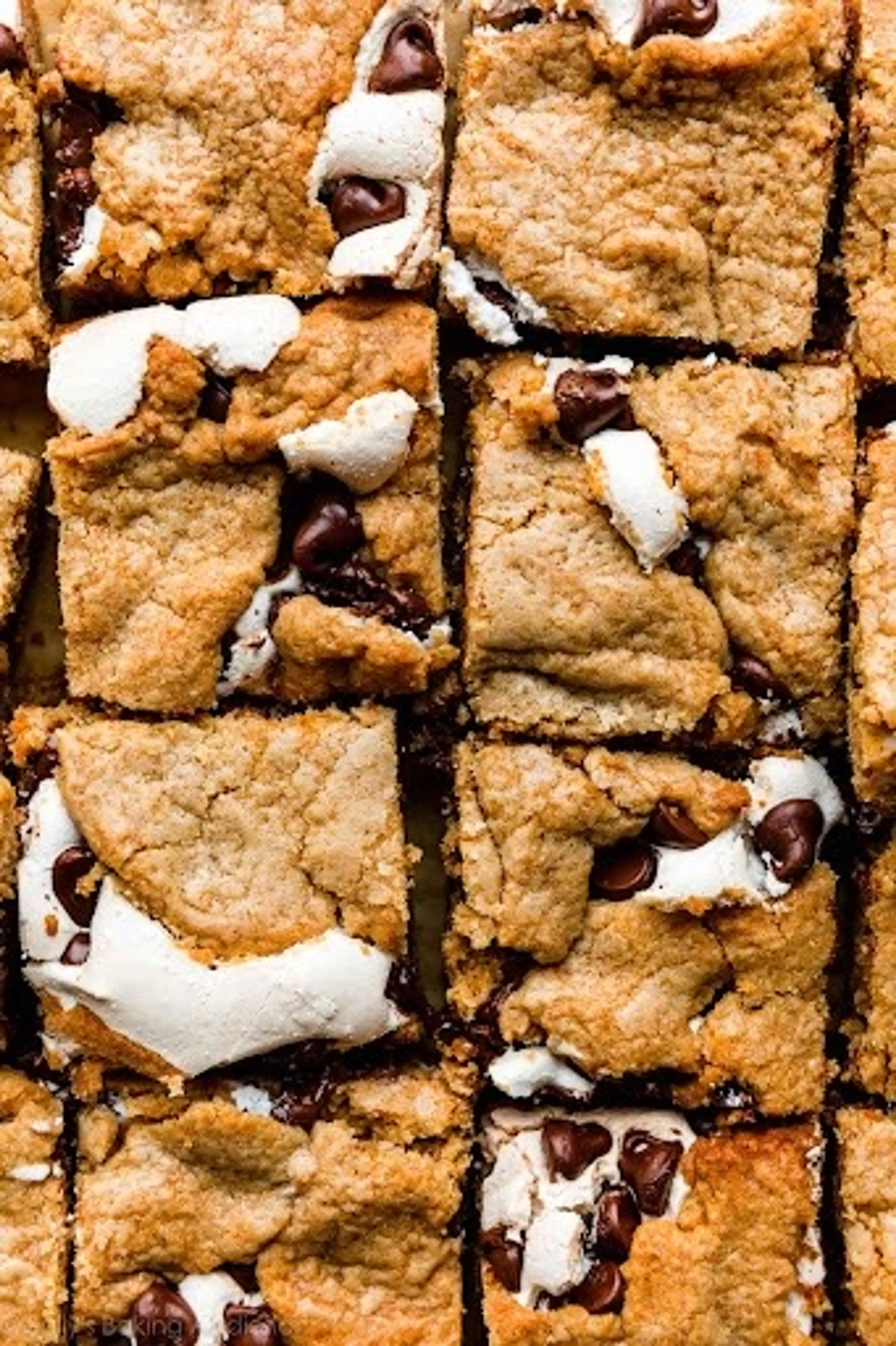 S'mores Cookie Bars (Recipe + Video) - Sally's Baking Addict