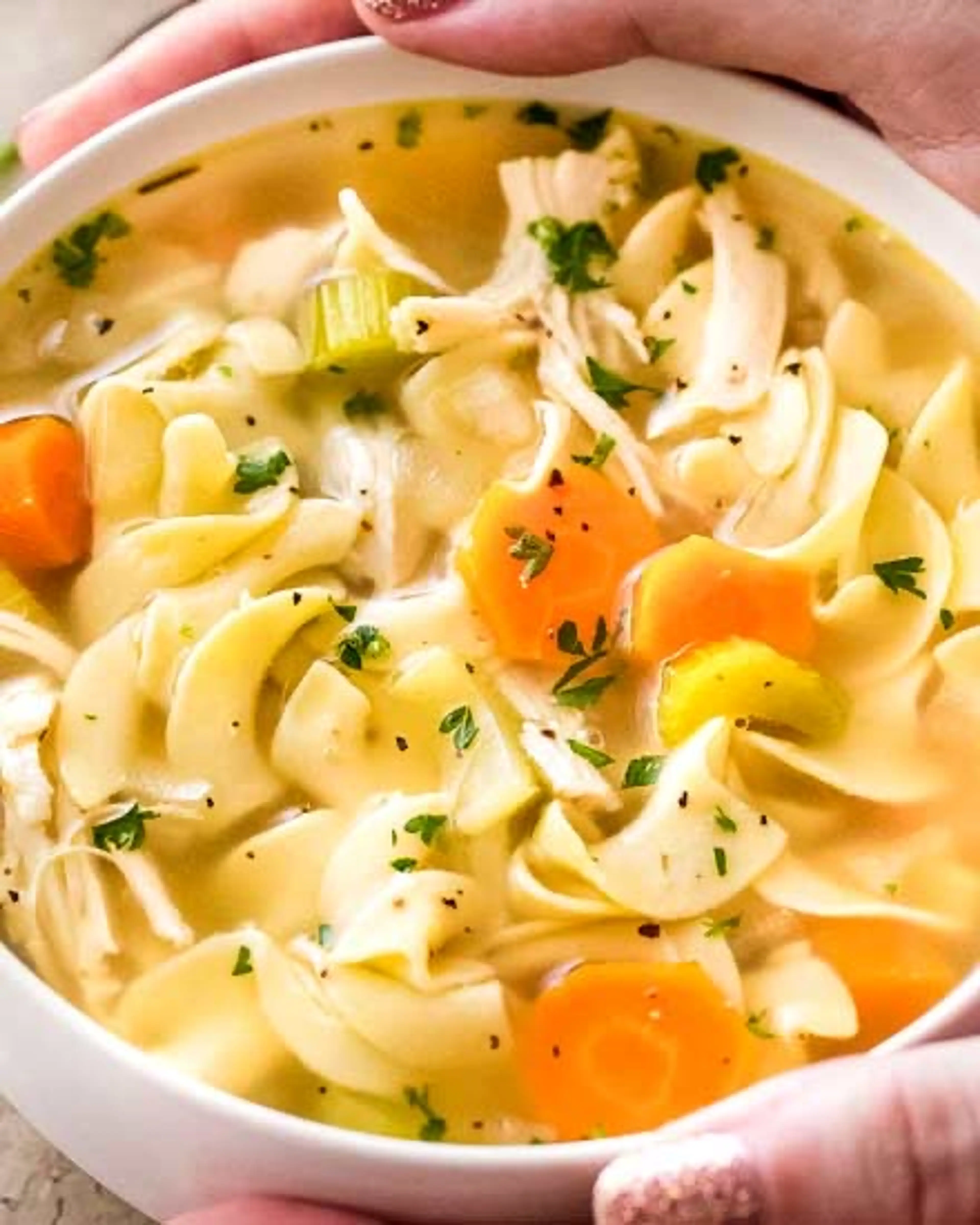 Homemade Crockpot Chicken Noodle Soup