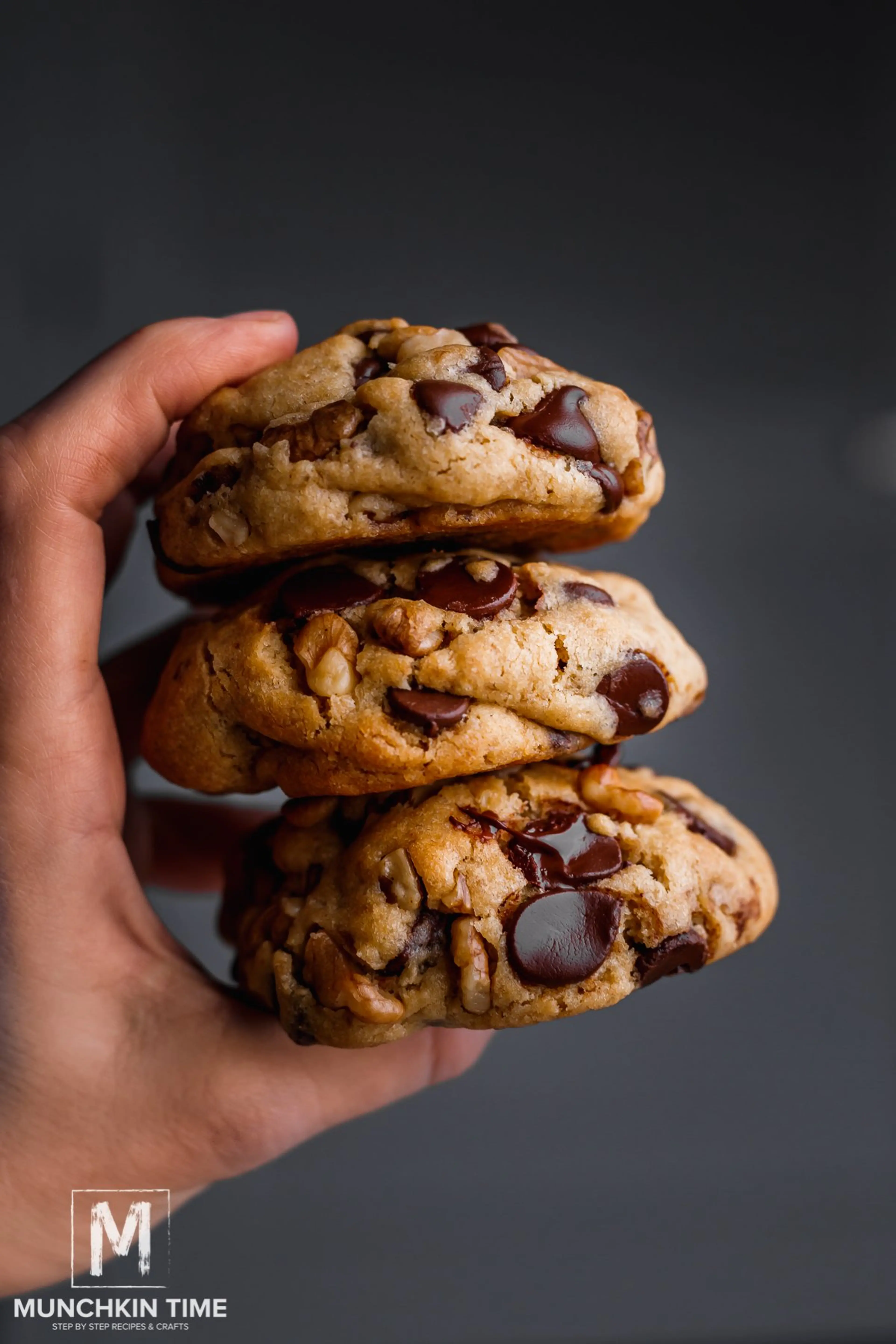 Giant Chocolate Chip Cookie