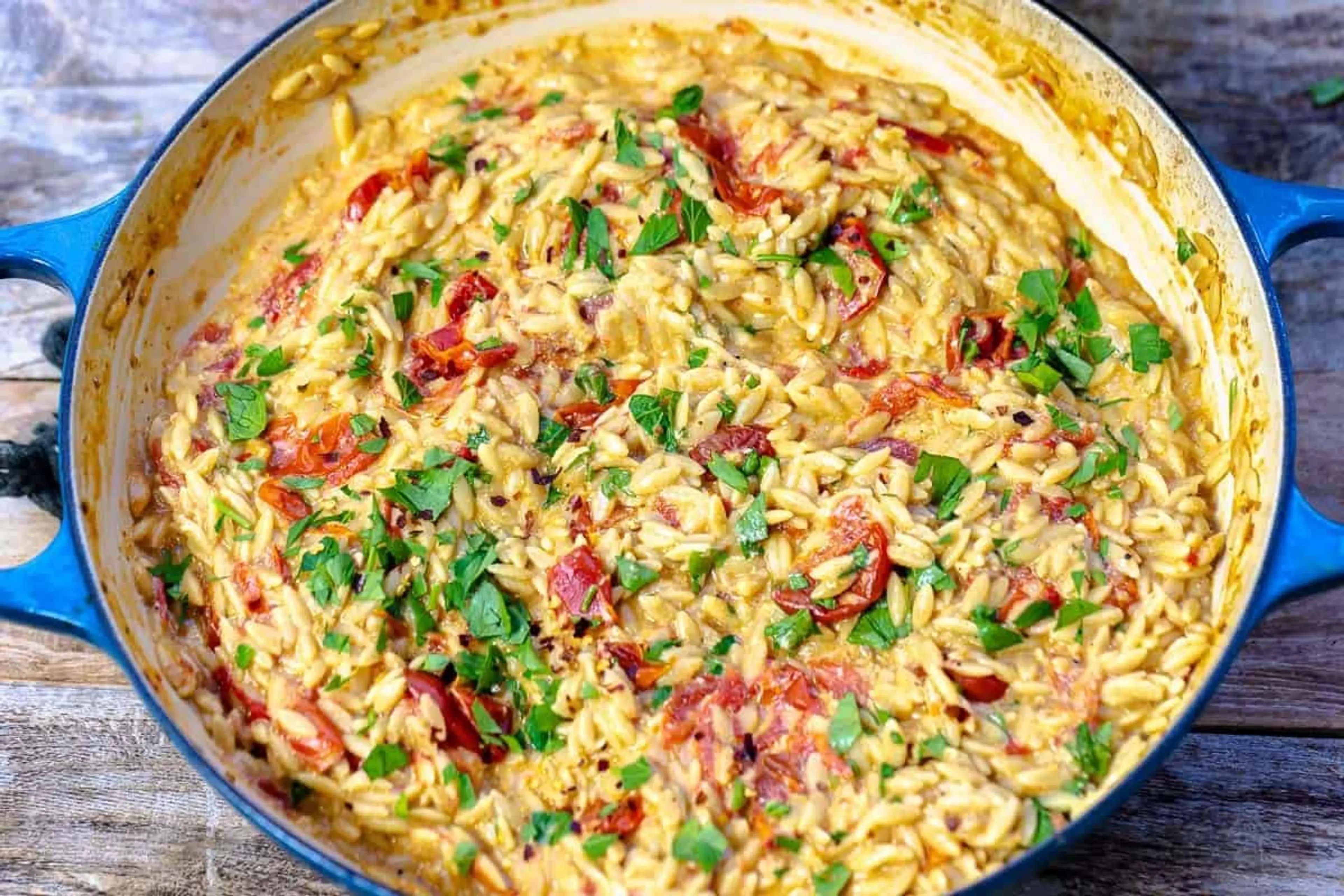 Creamy Orzo with Garlic, Parmesan, and Blistered Tomatoes