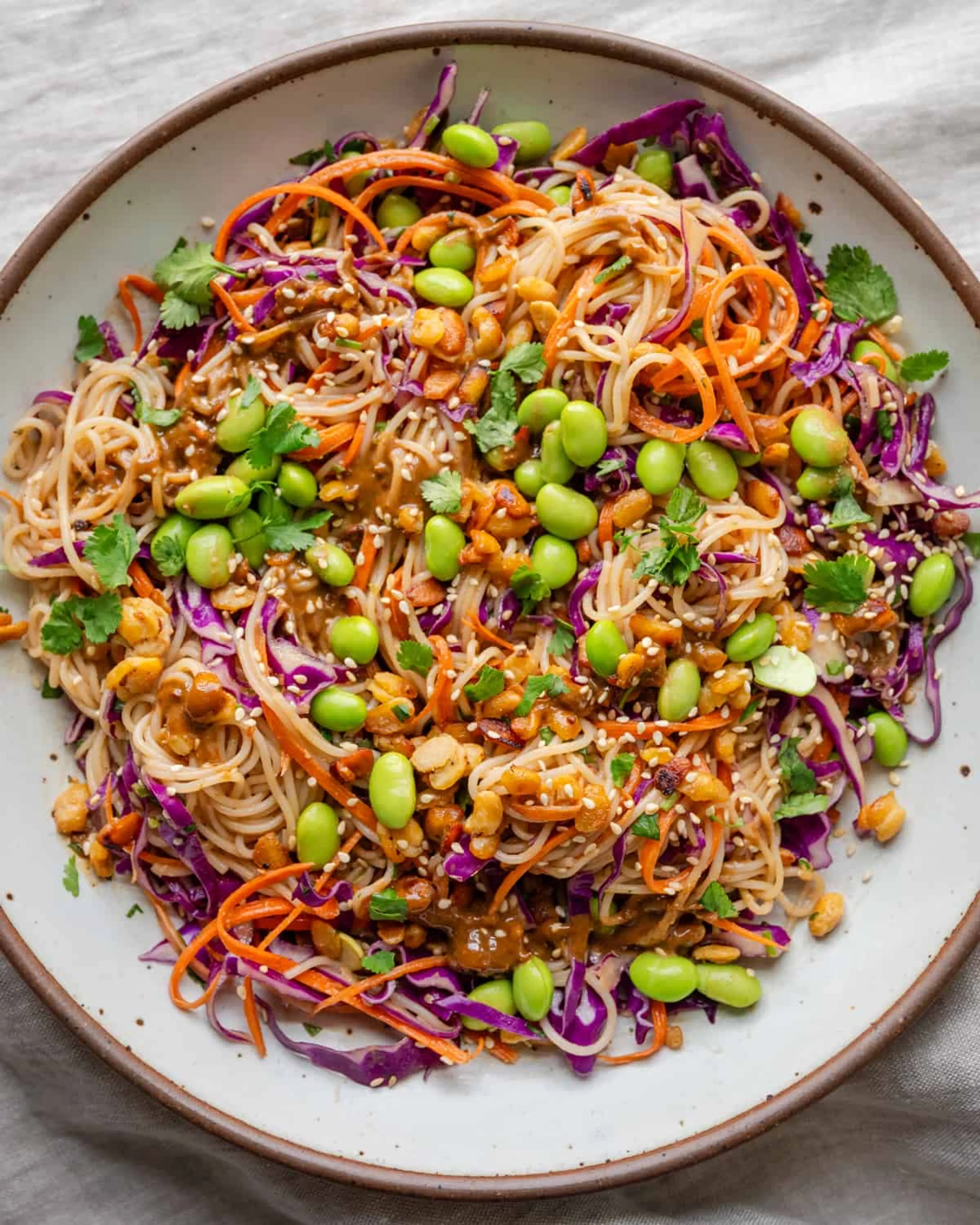 Noodle Salad with Rainbow Veggies