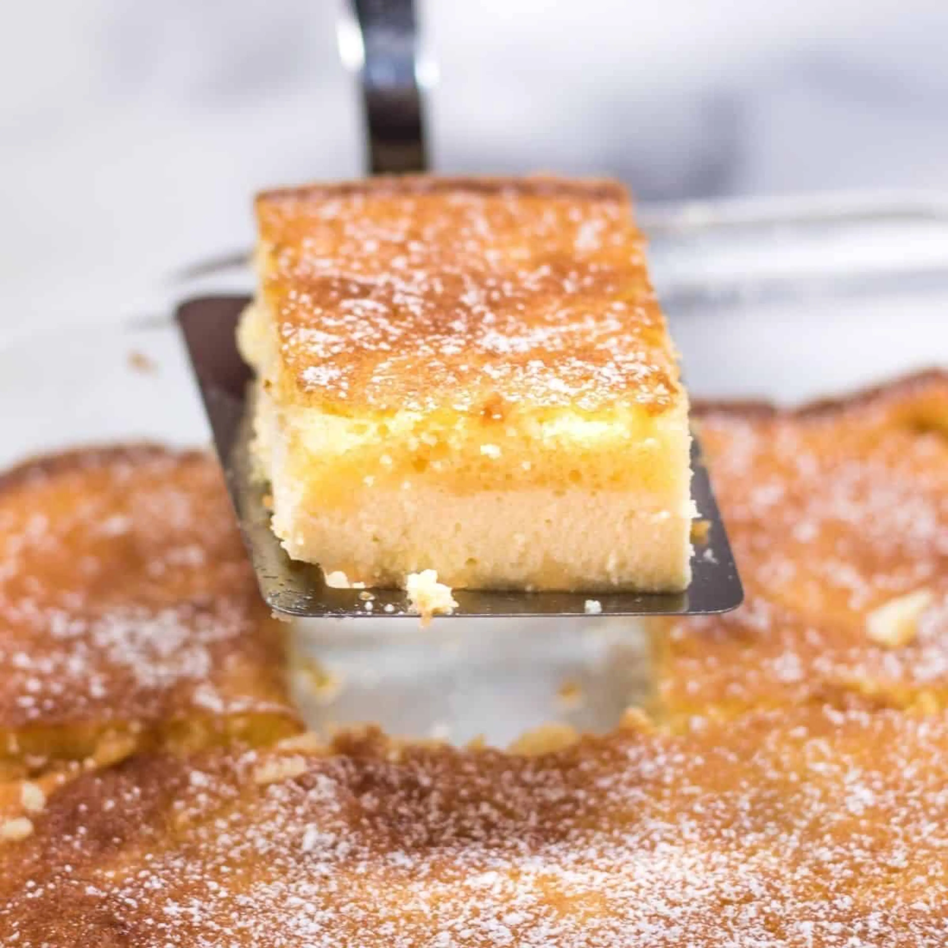 Ricotta Cake