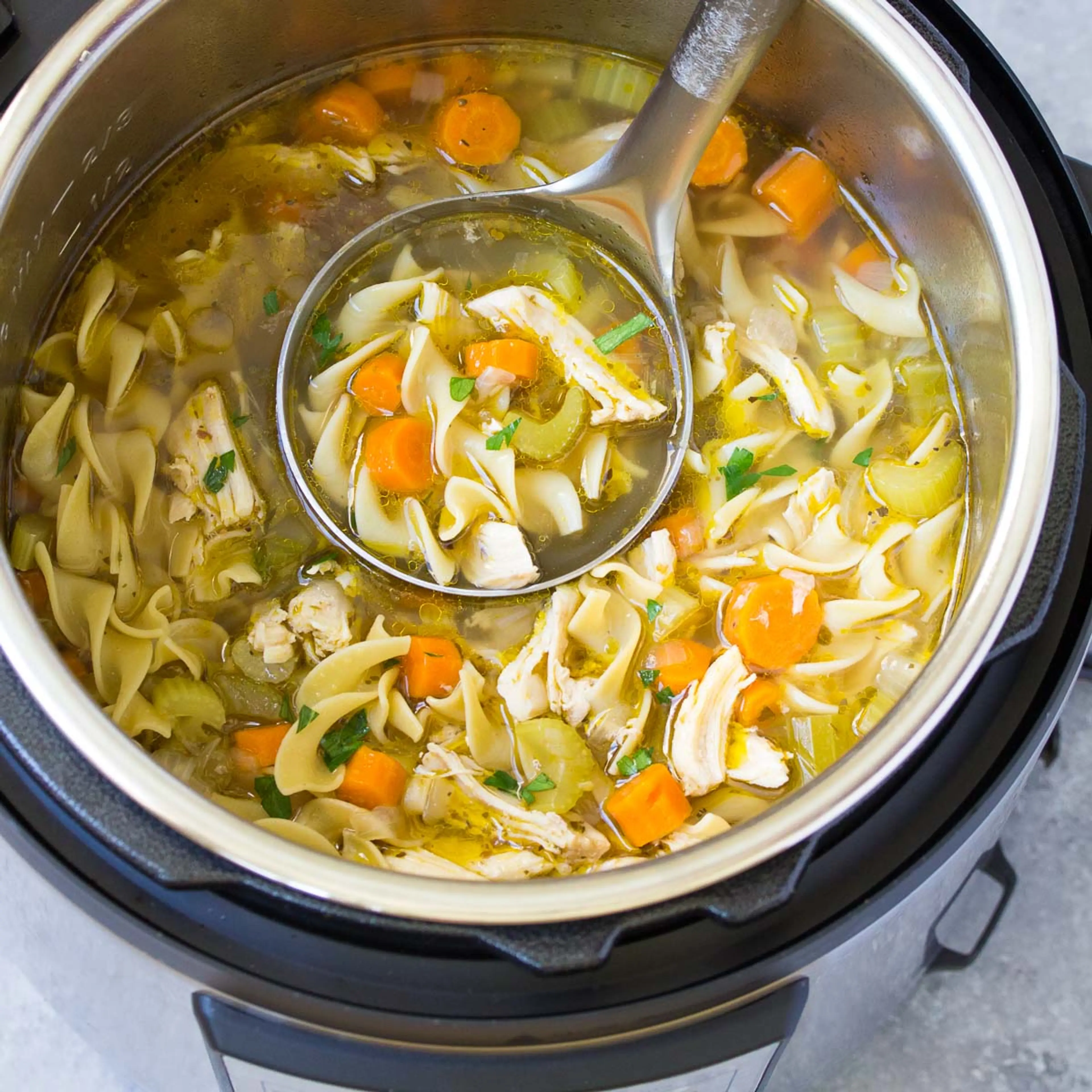 Instant Pot Chicken Noodle Soup