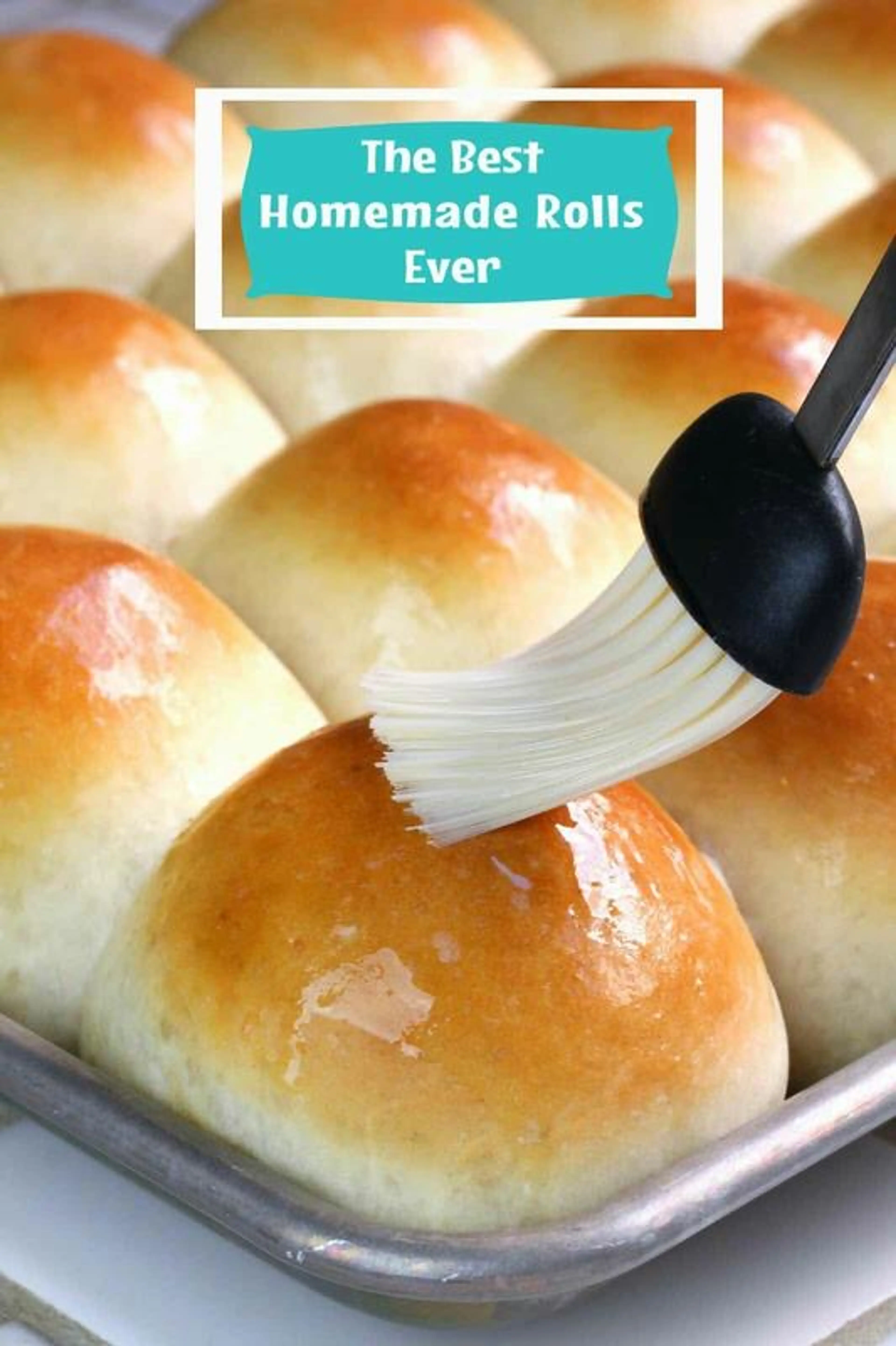 Dinner Rolls