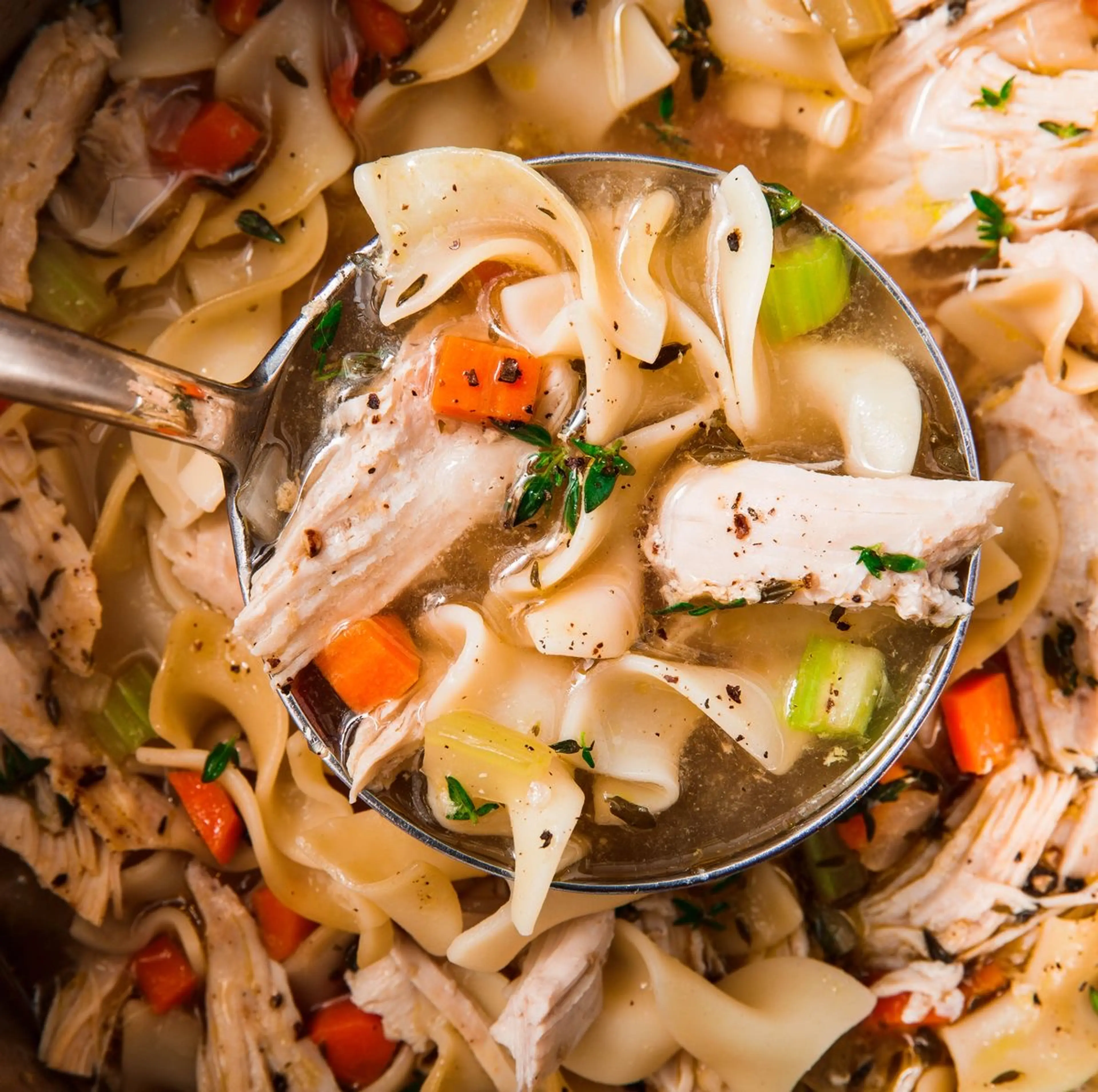 Instant Pot Chicken Noodle Soup