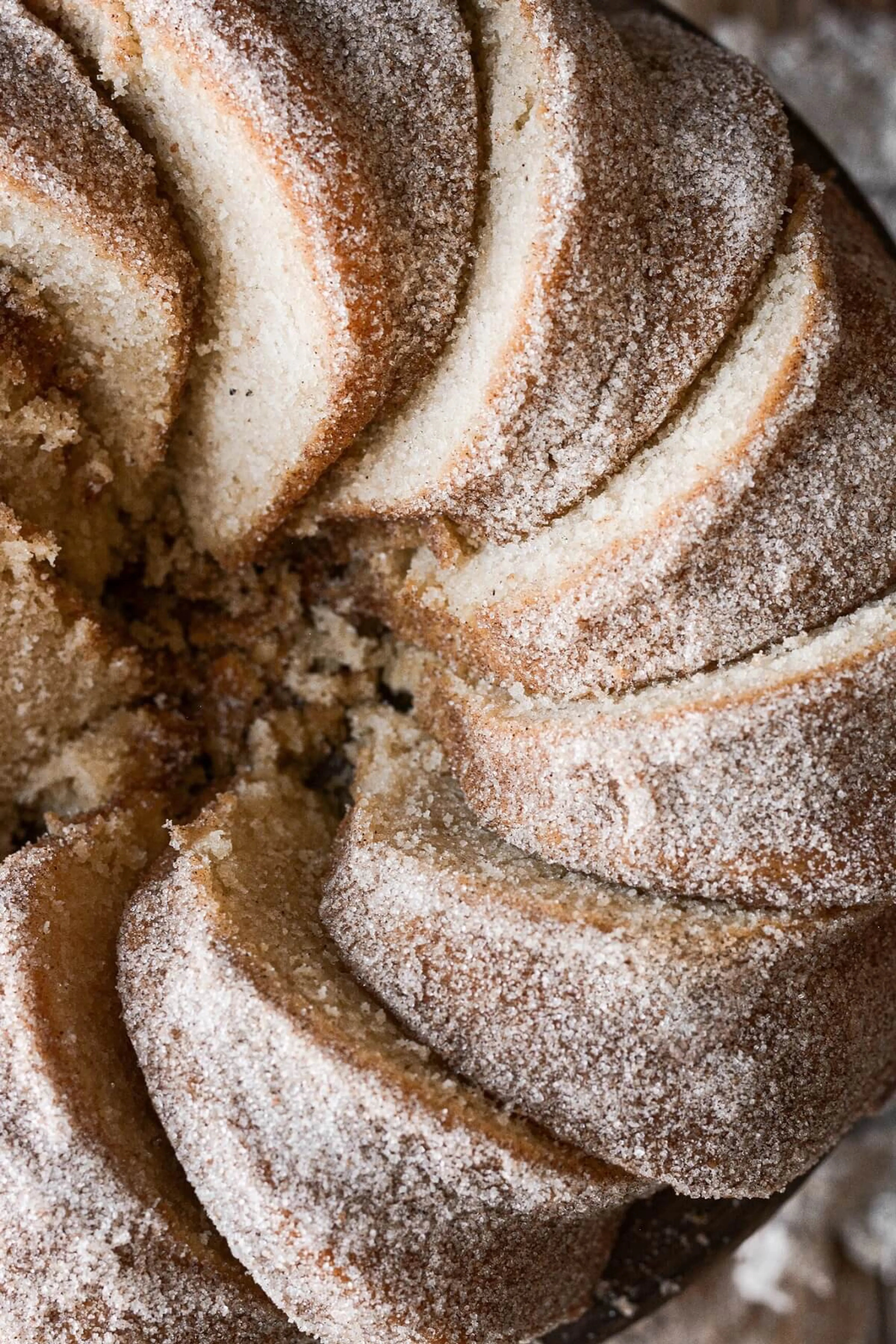High Altitude Snickerdoodle Bundt Cake with Cinnamon Sugar