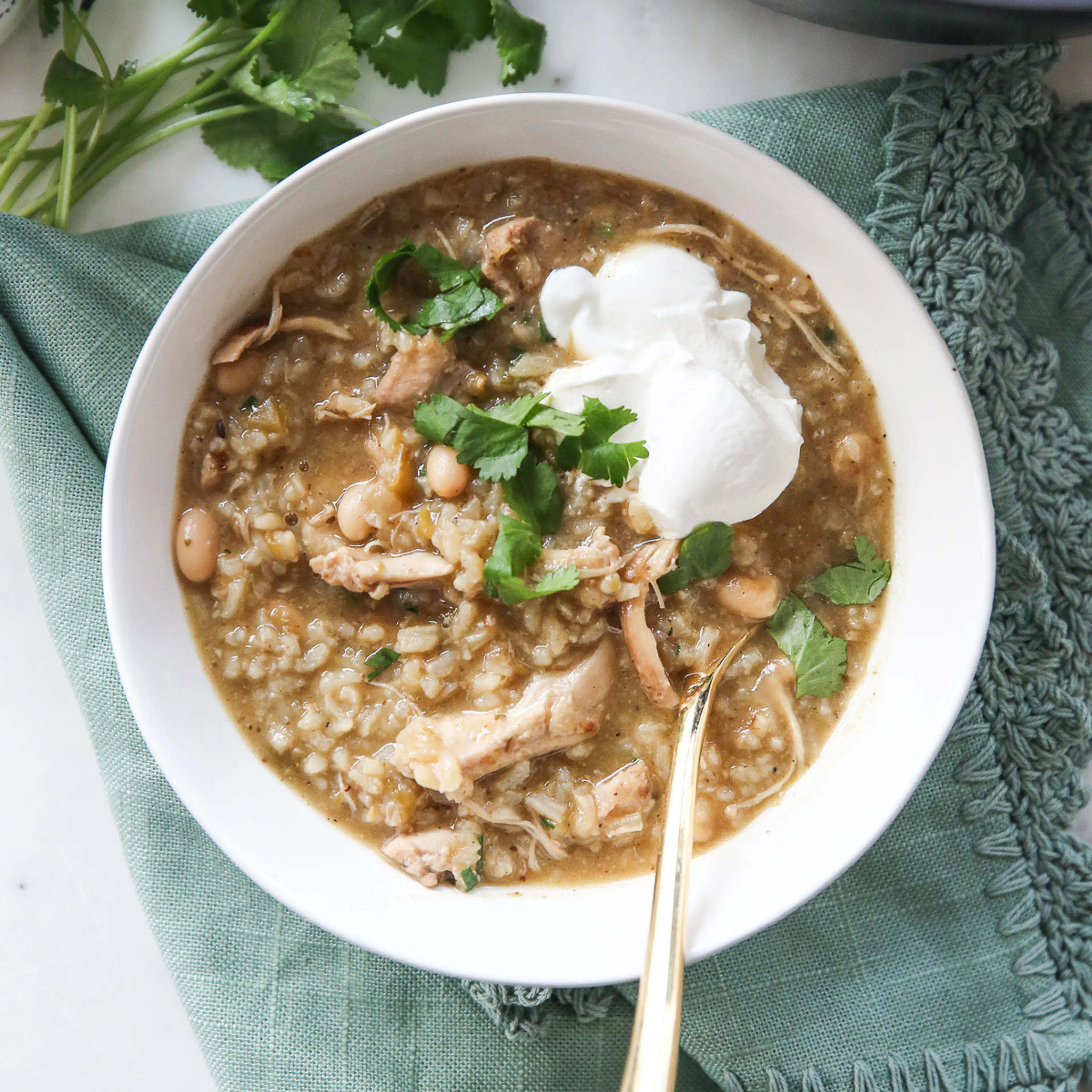 Green Chili Chicken Stew