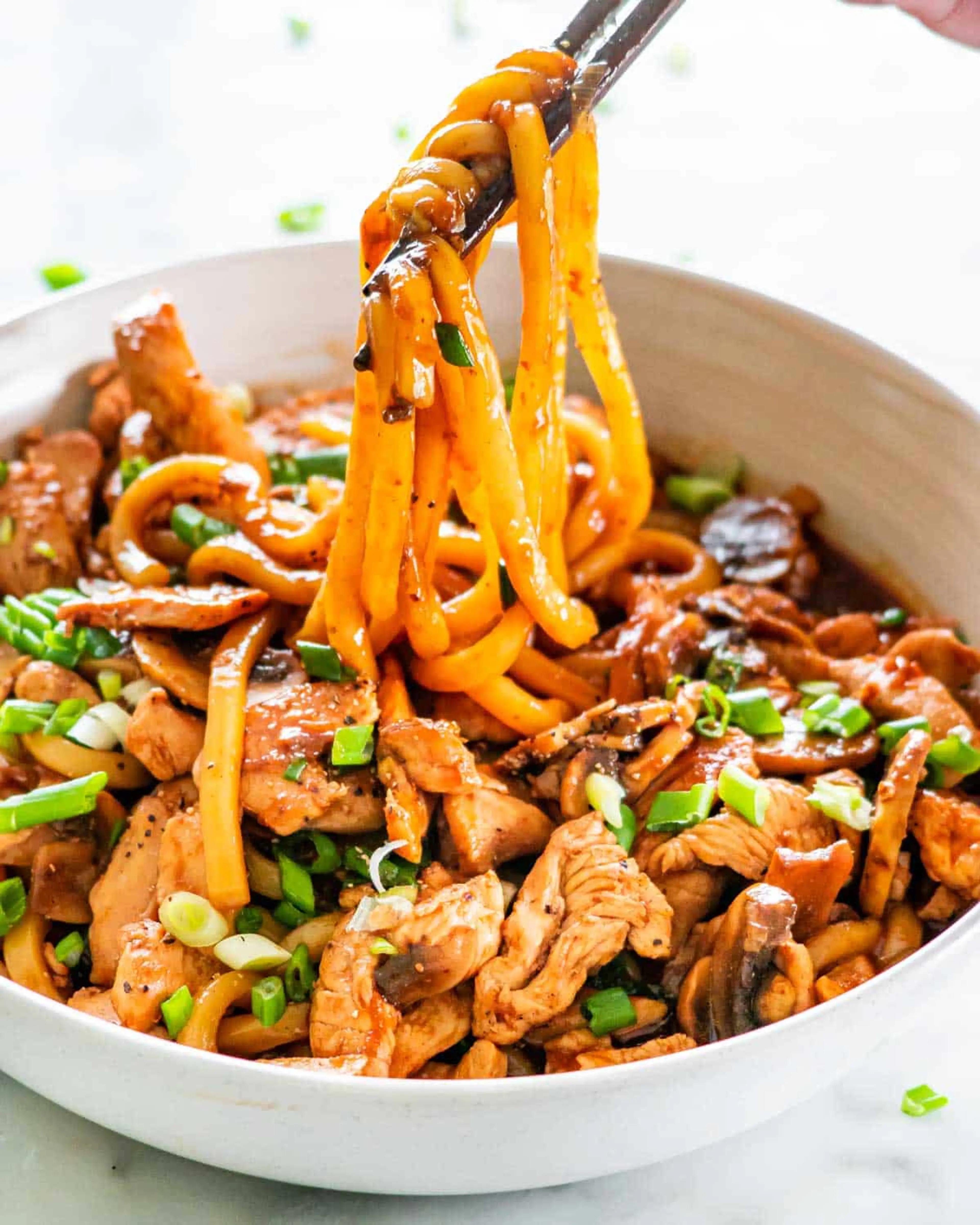 Hoisin Chicken Udon Noodles